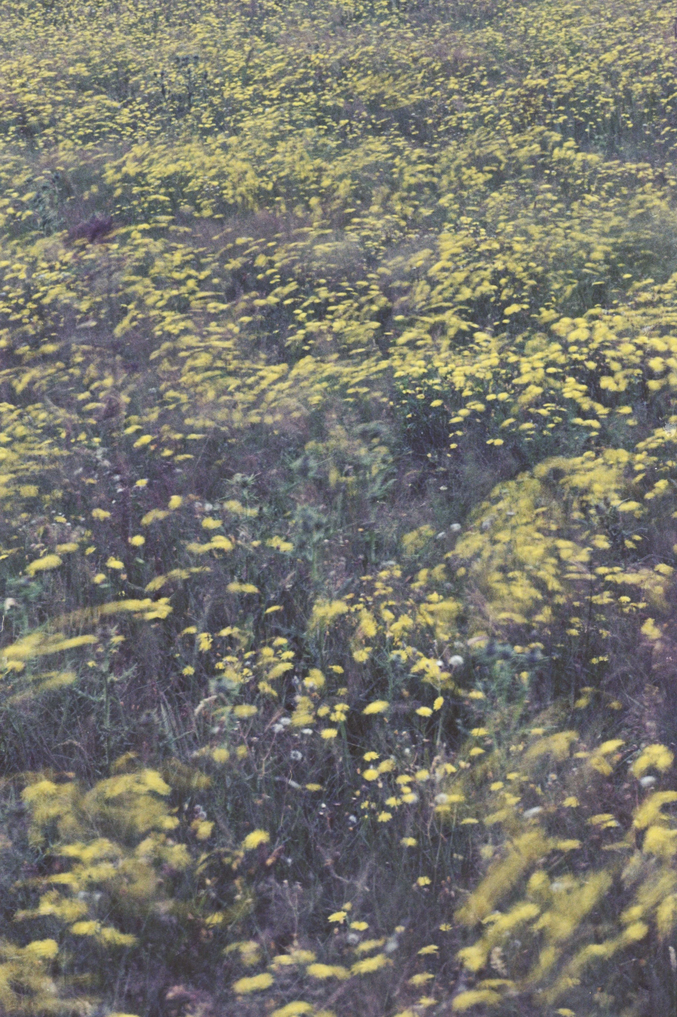 20230628-_1080969.RW2.JPG