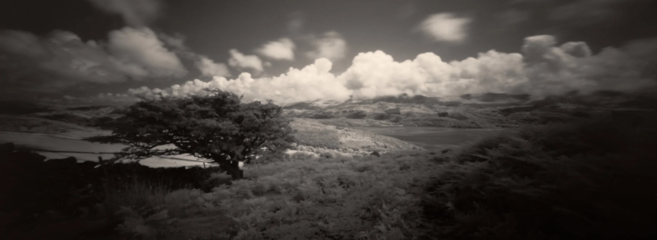 Untitled_Panorama-2d.jpg