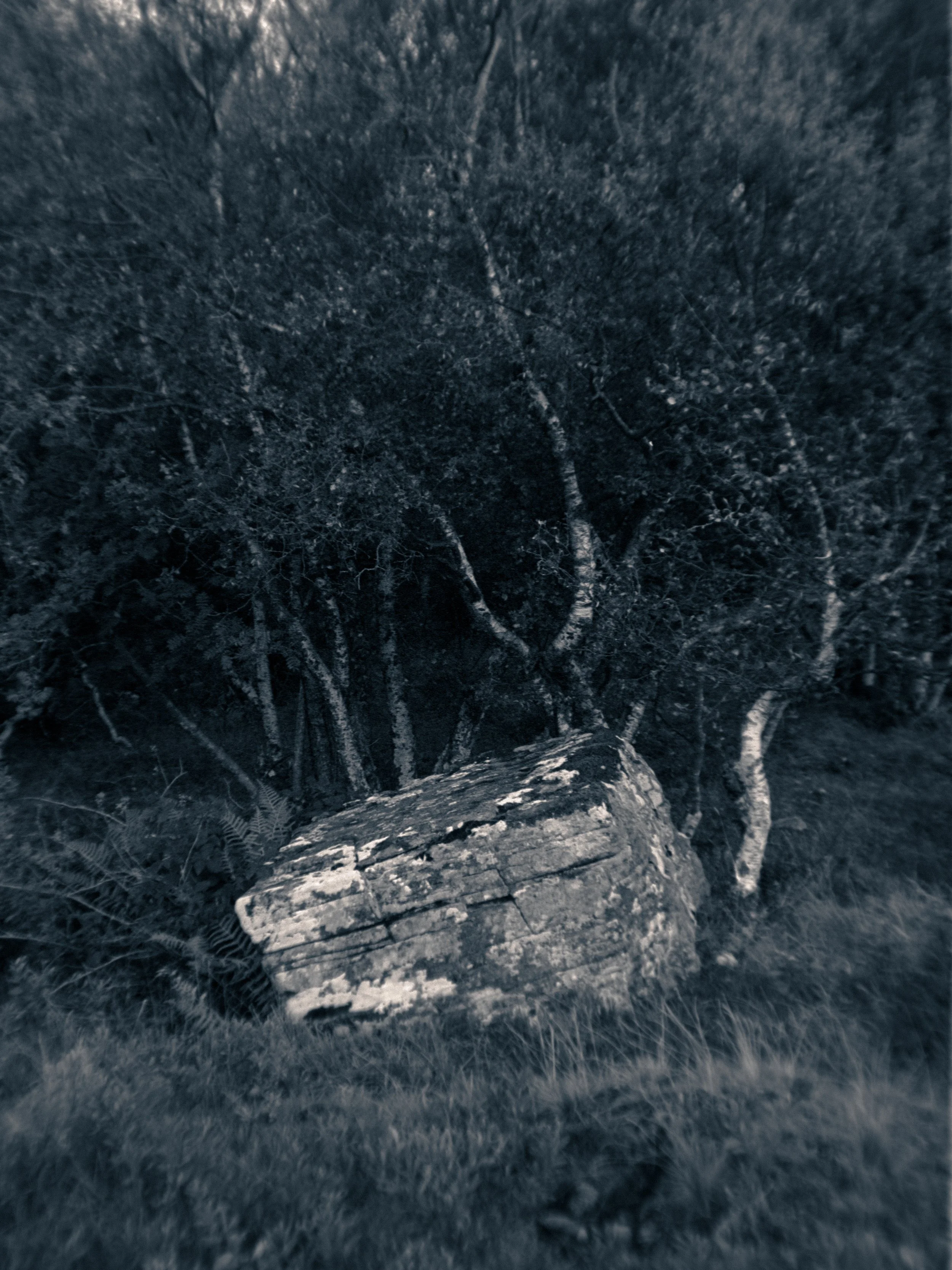 P1070090.jpg