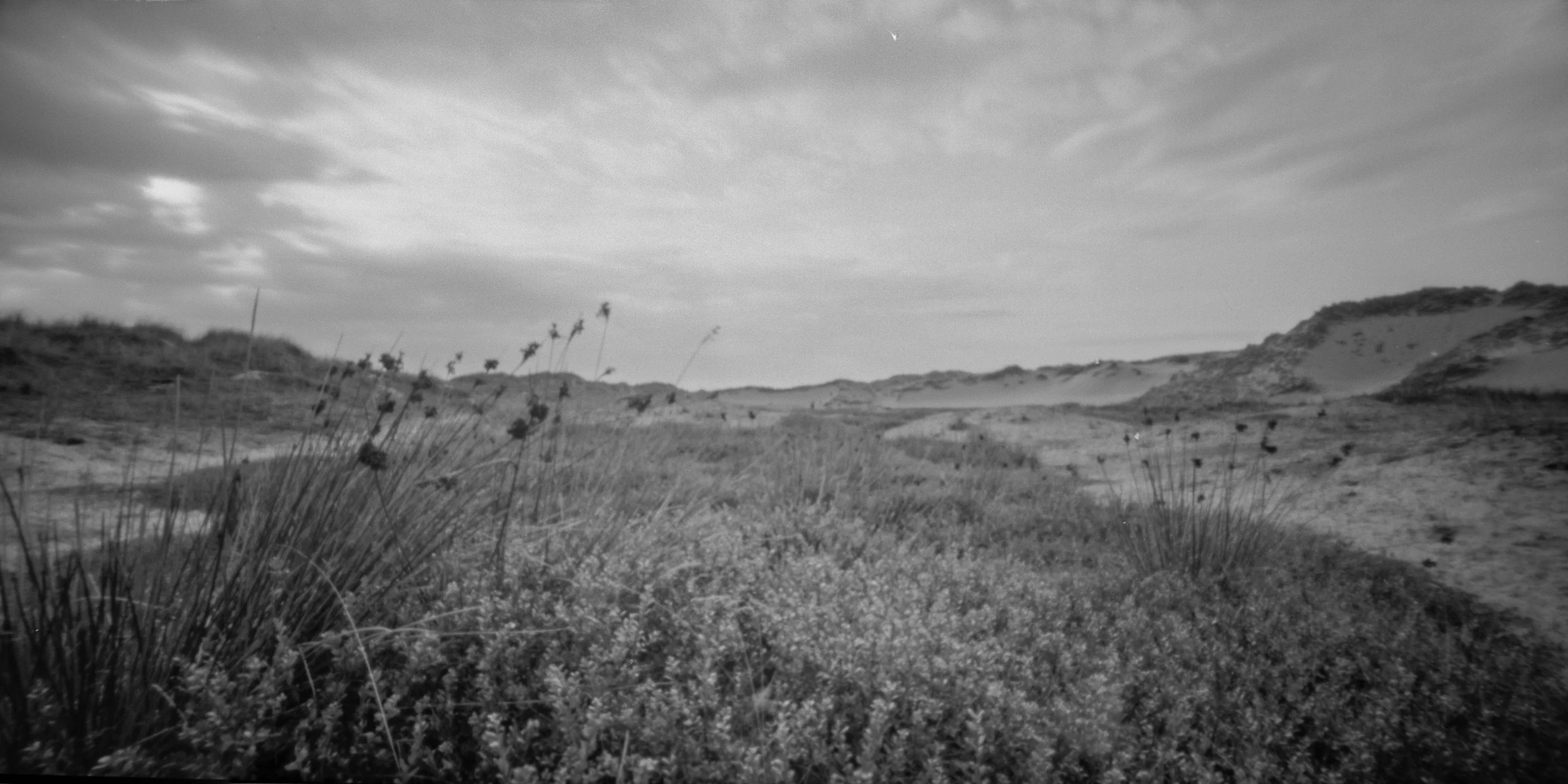 Untitled_Panorama-3.jpg