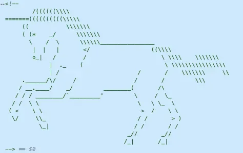 Selena Scola Unicorn in the Code