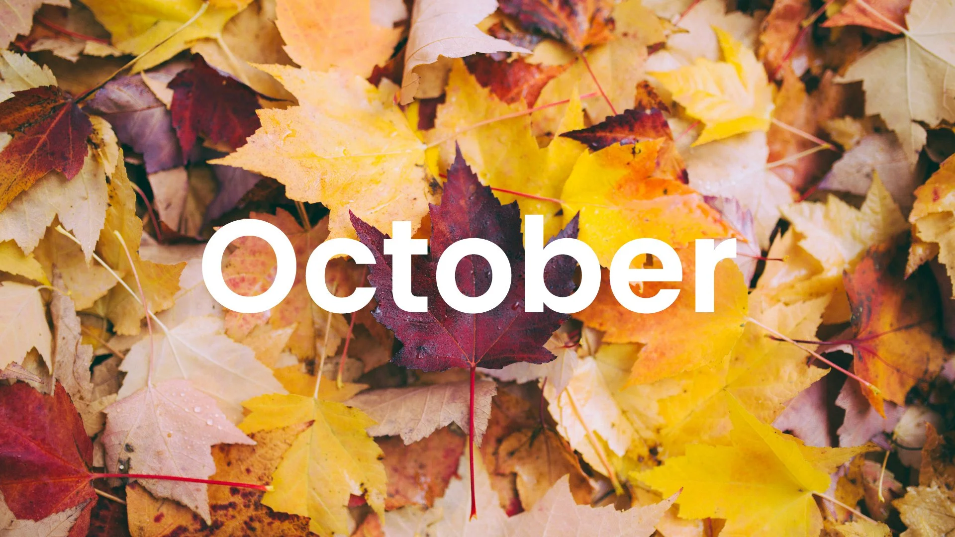 October at CVM