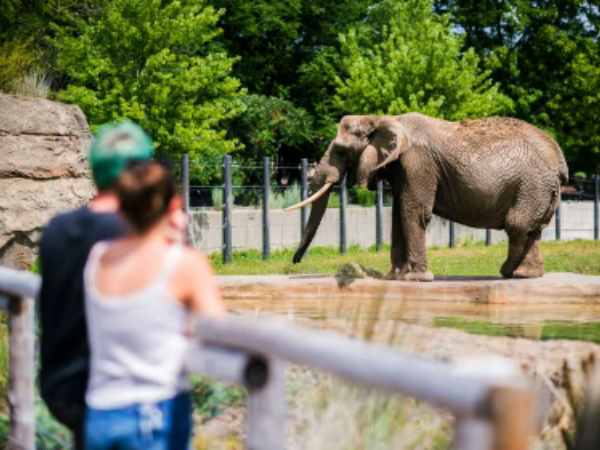 Milwaukee County Zoo