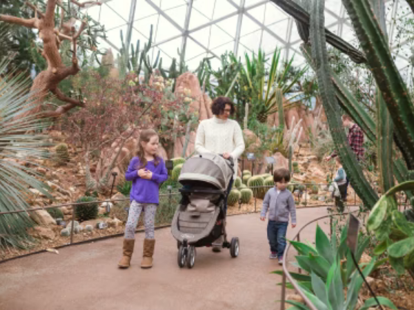 Mitchell Park Domes