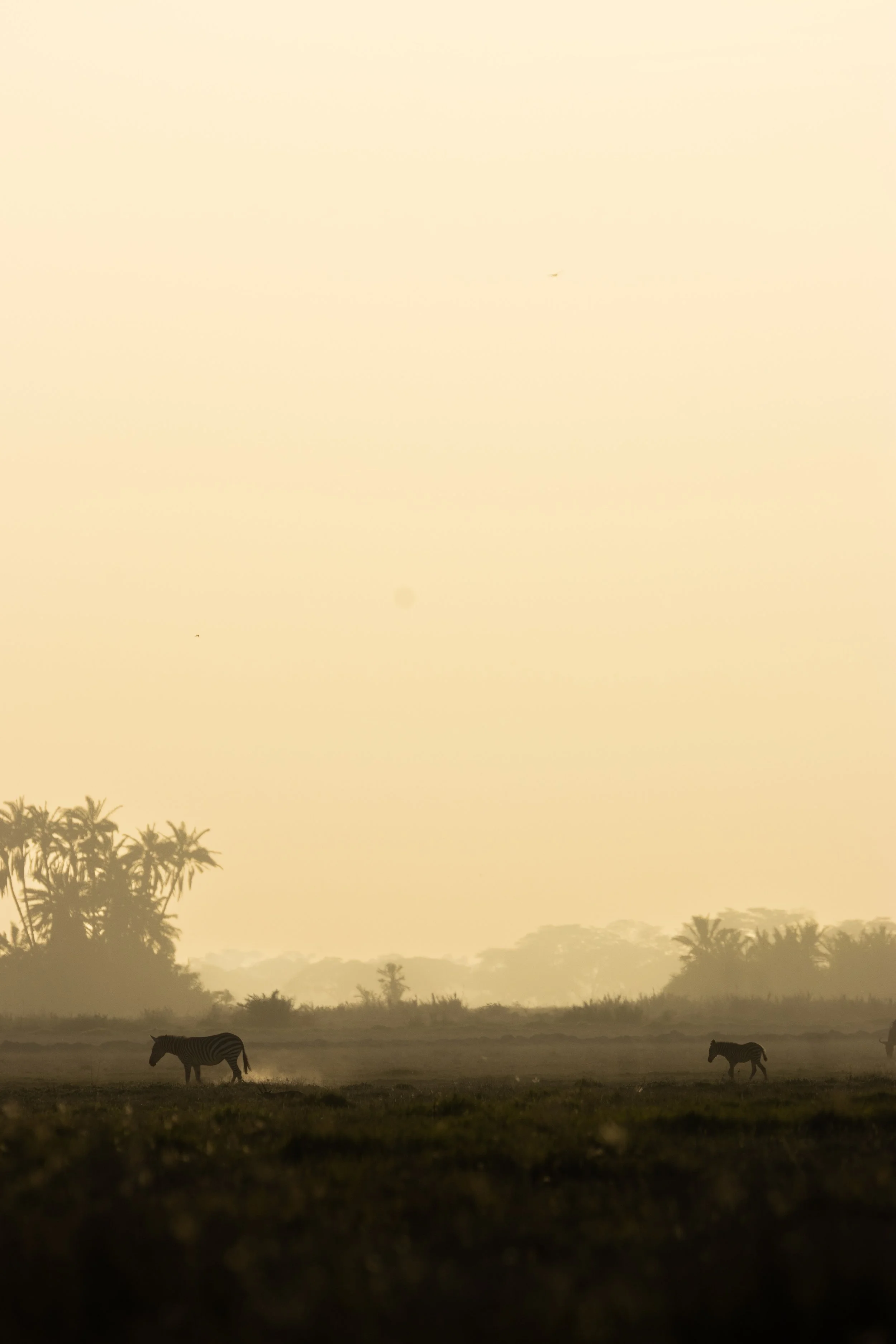 _26A5467.jpg