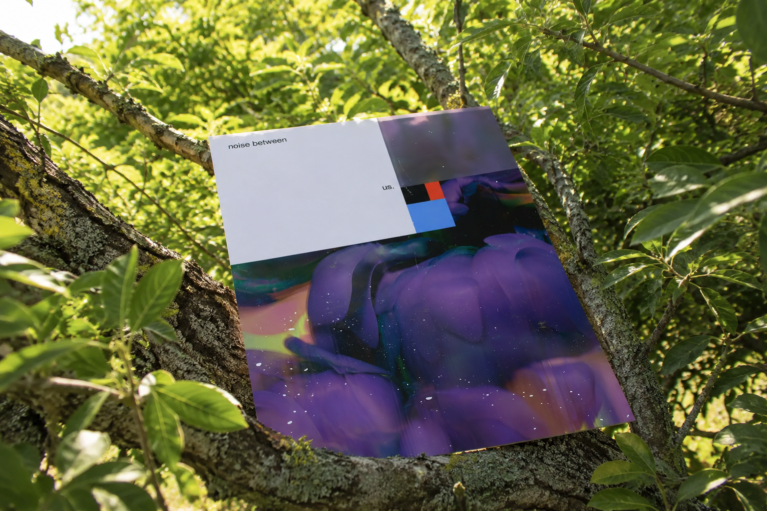 An abstract art print with vibrant purple, green, and black colors, resting on a tree branch surrounded by green leaves and sunlight filtering through the canopy.