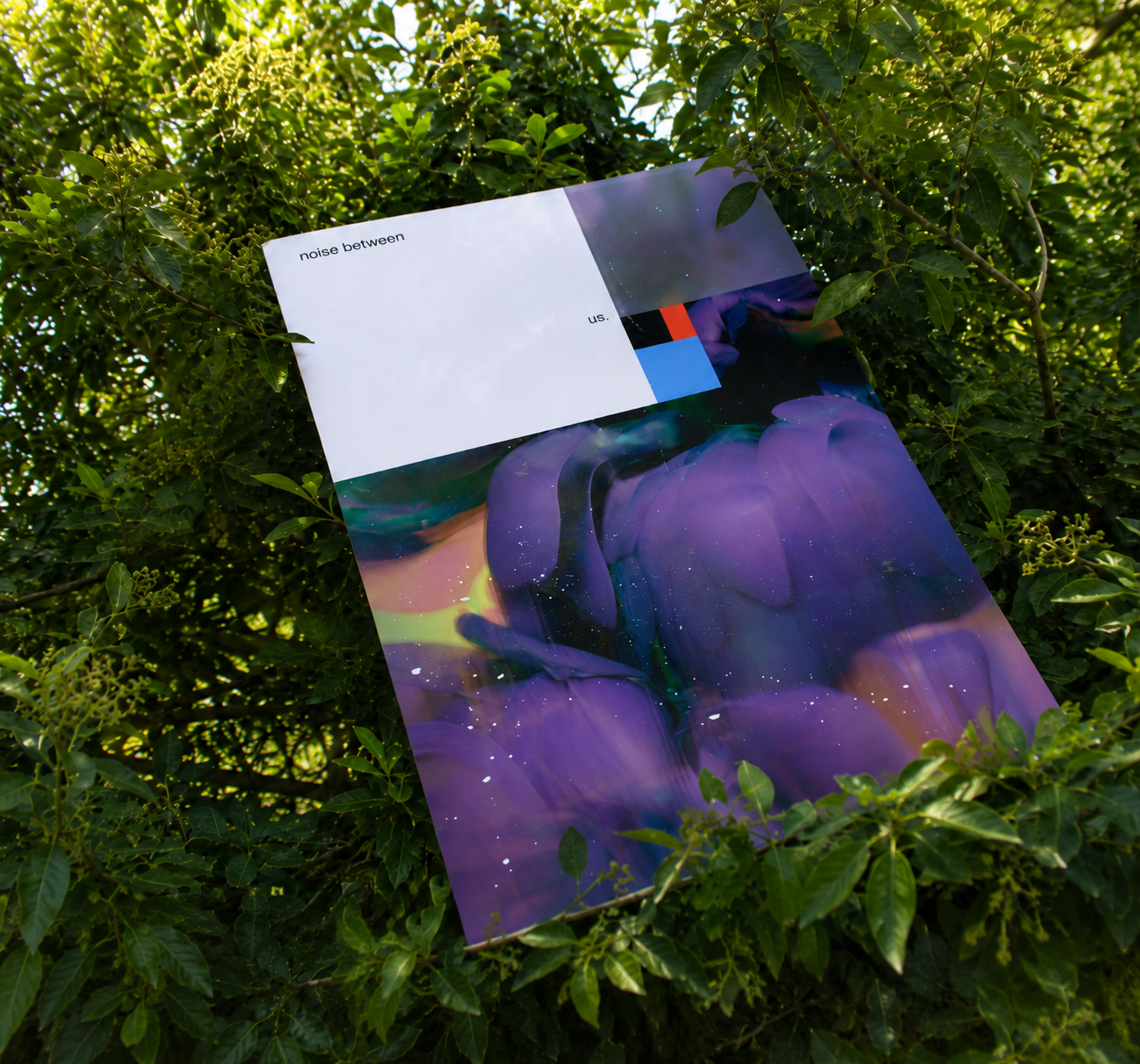 A colorful abstract art poster leans against green shrubbery, with the top portion showing a white section with the text "noise between us." in black.