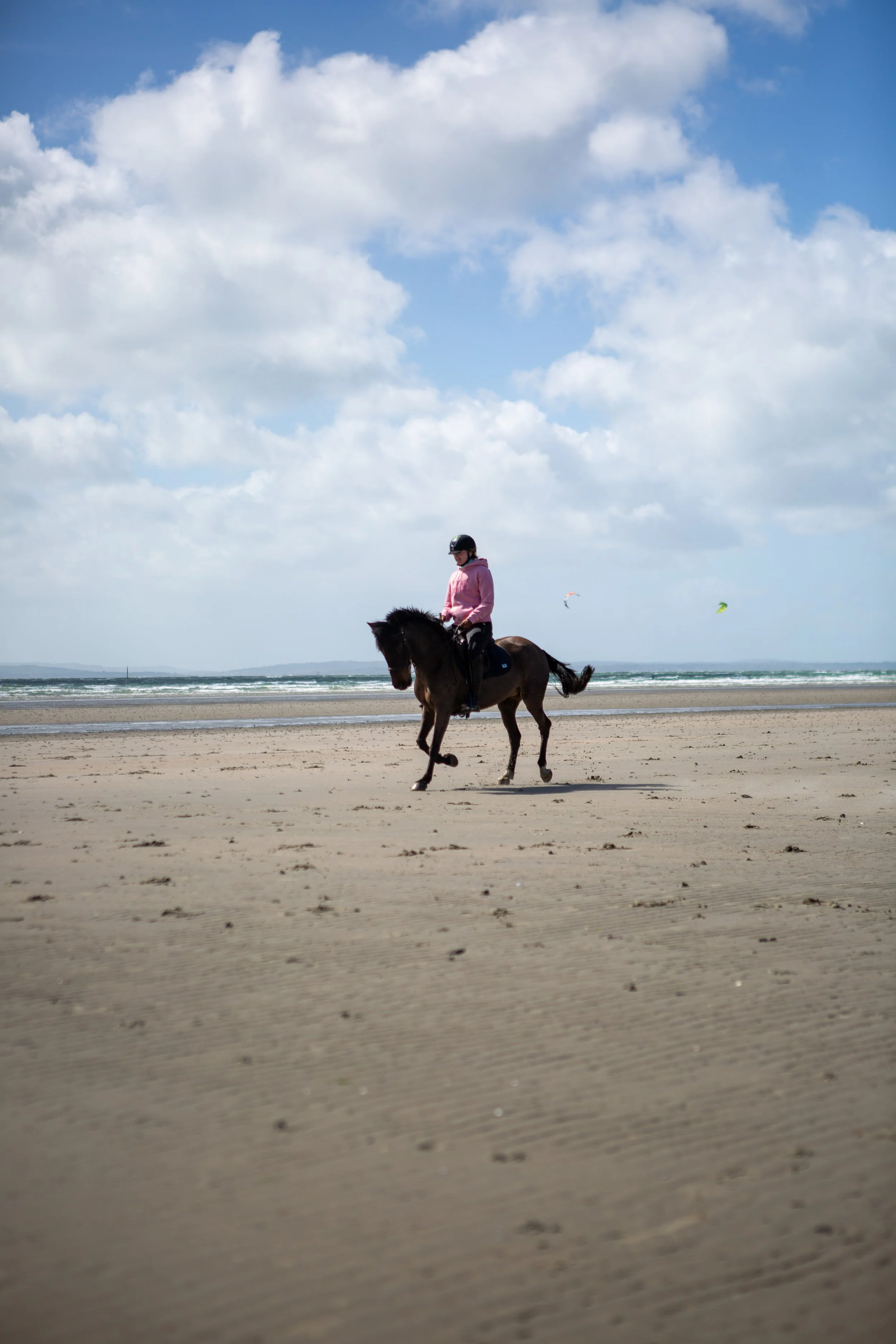 IMG_7383.jpg