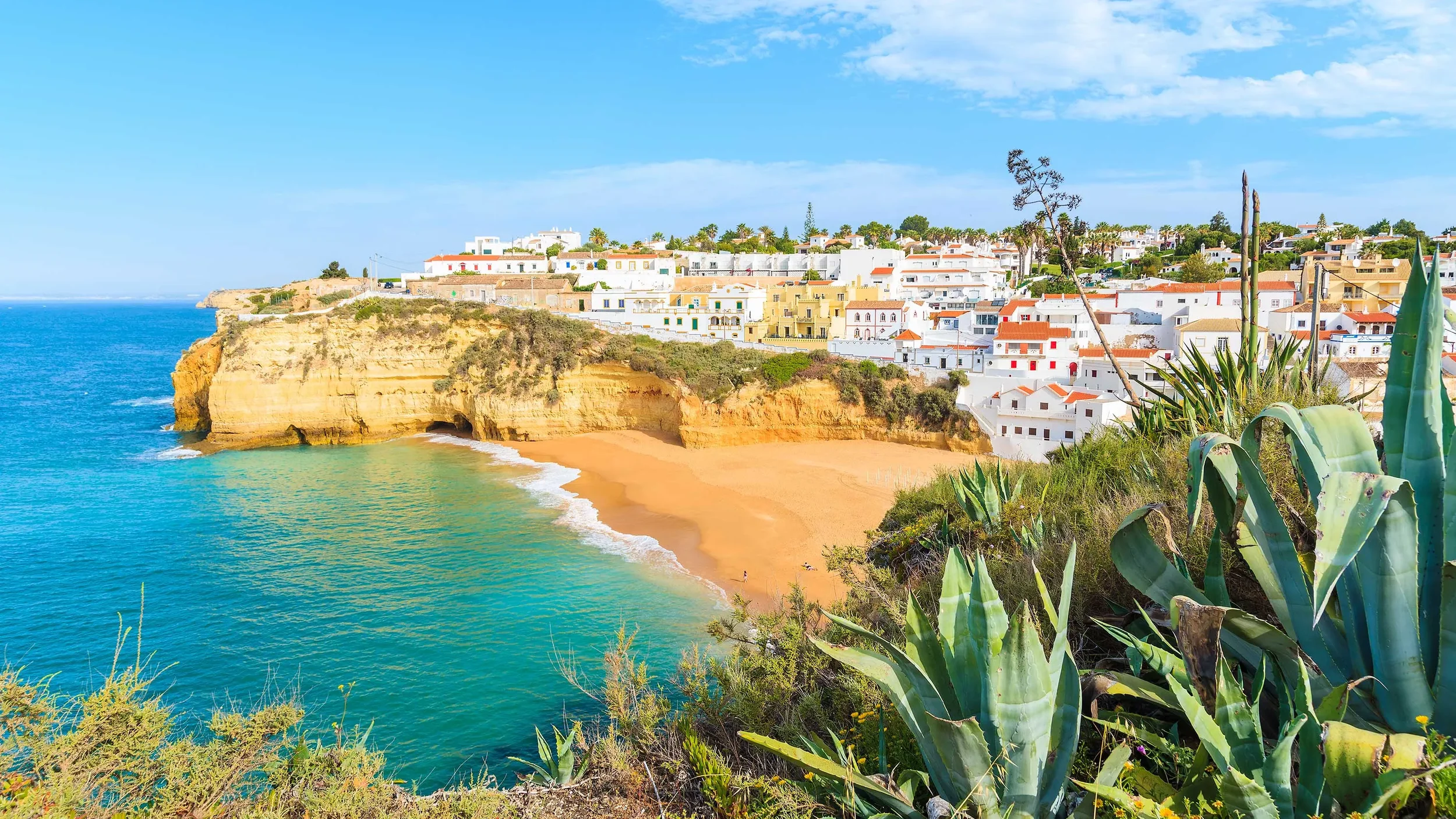 Colorful coastal town with white and pastel-colored houses on a hill overlooking the beach and the ocean, with lush vegetation in the foreground.