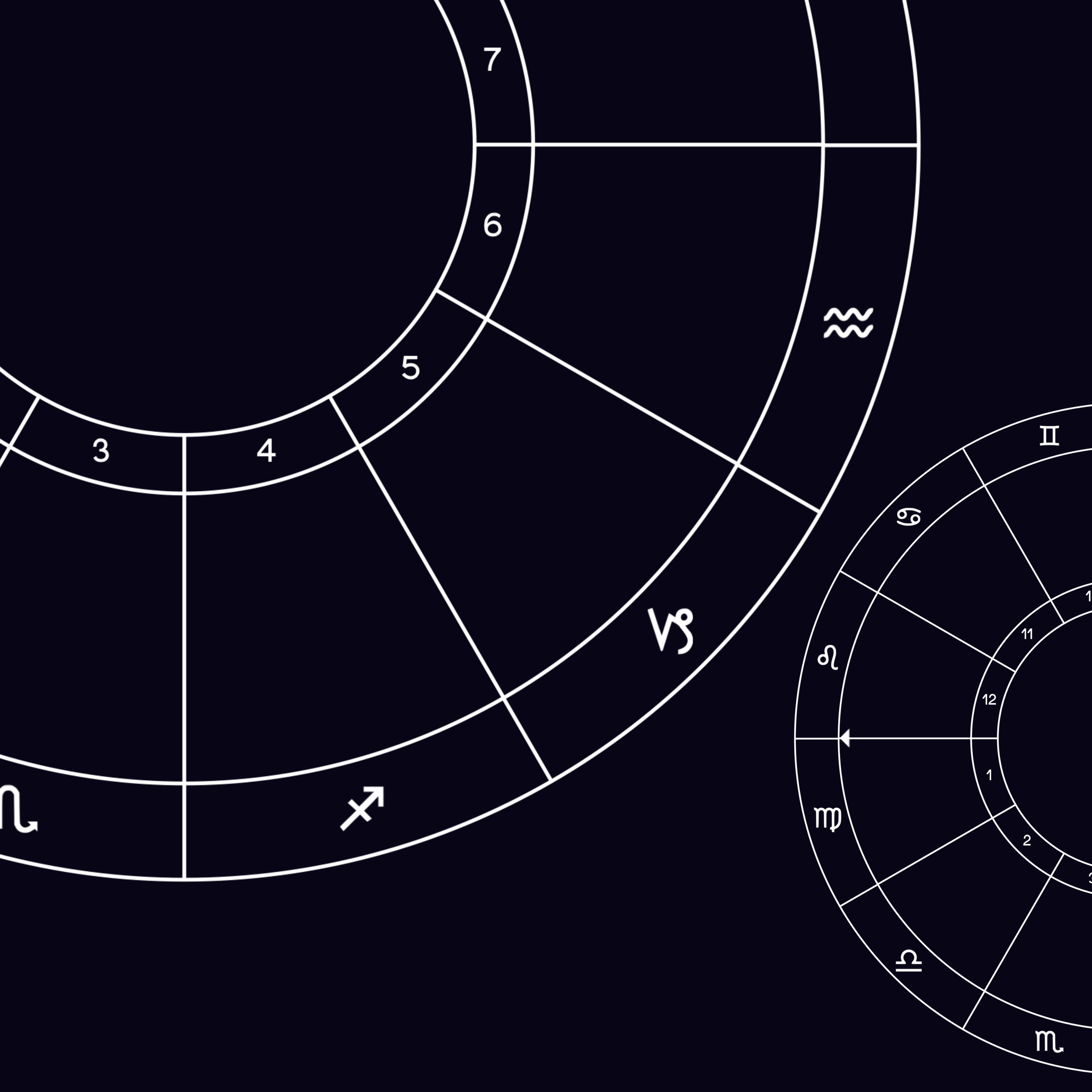 Section of a black astrological chart with white outlines of zodiac signs and degrees.