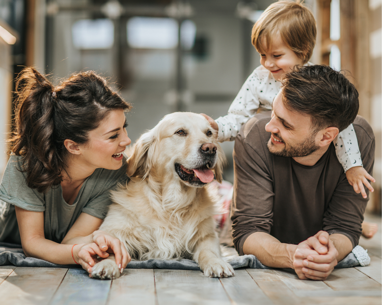 A young family lying on the floor at home with their golden retriever, smiling and relaxed.