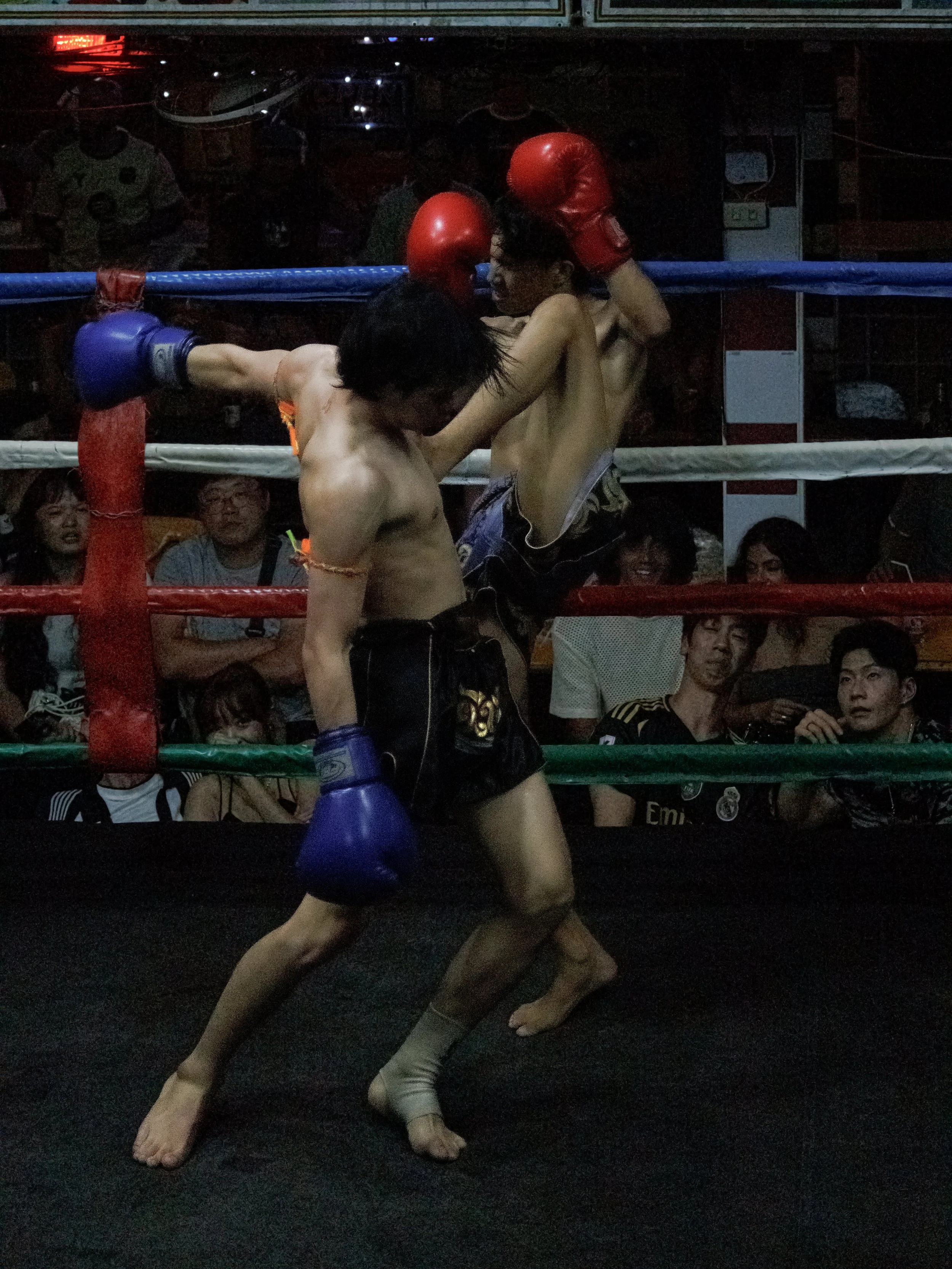 IMG_3888.jpg