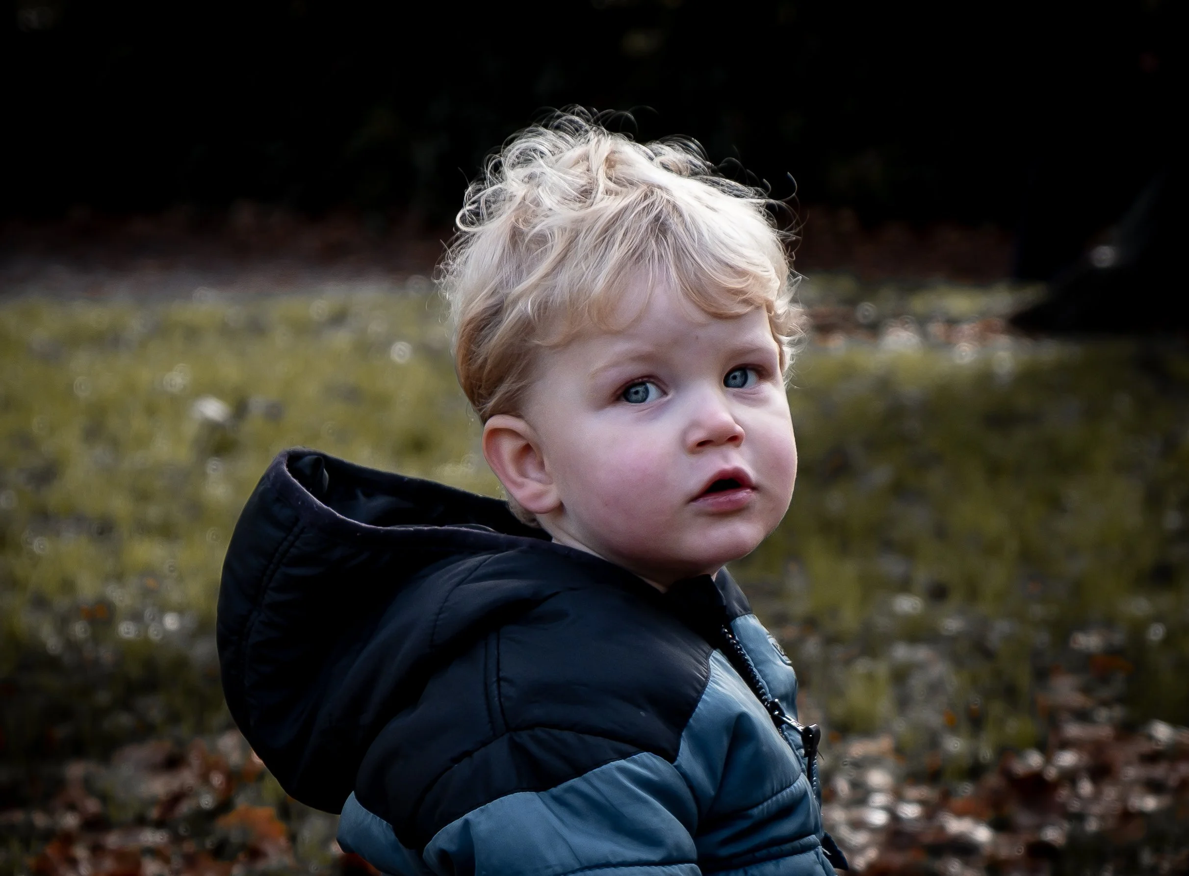 A young boy with blond curly hair and blue eyes is outdoors in a natural setting with blurred leaves on the ground. He is wearing a black puffy jacket and looking at the camera with a surprised or curious expression.