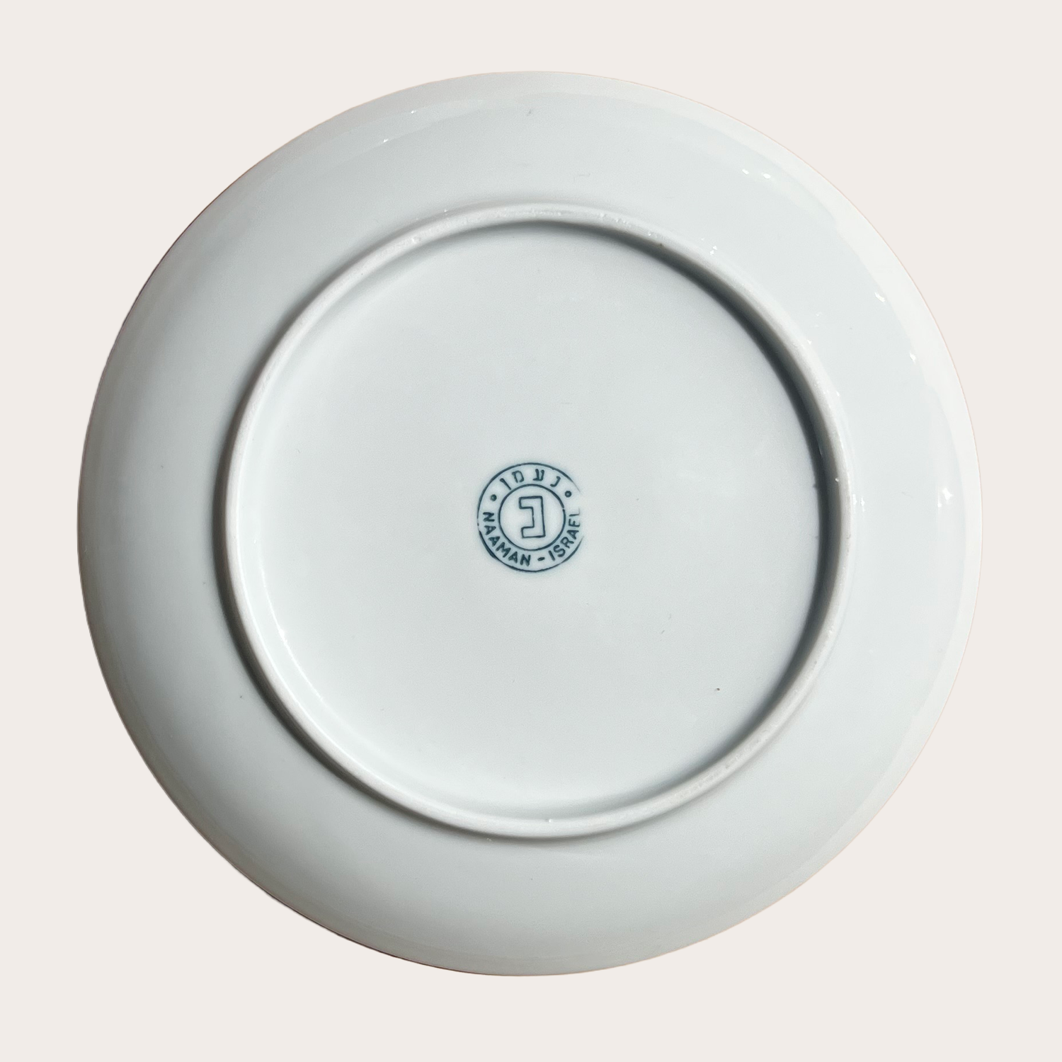 back of plate.png