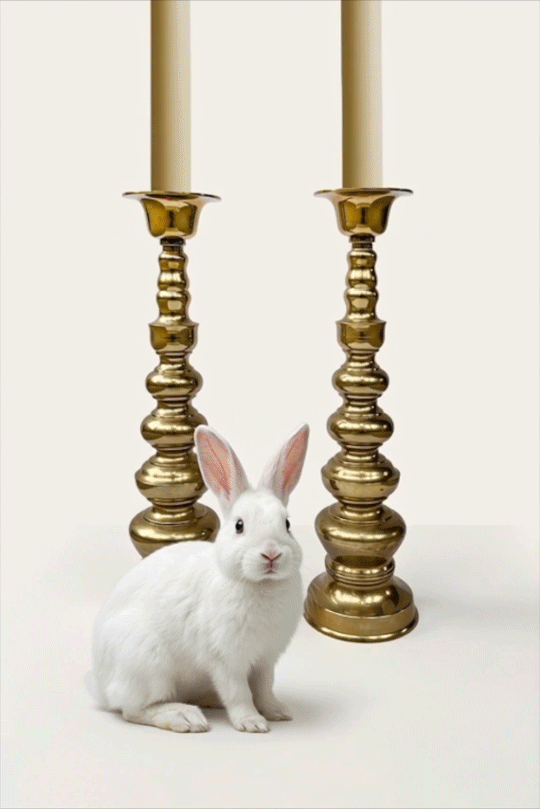 Brass Candlesticks