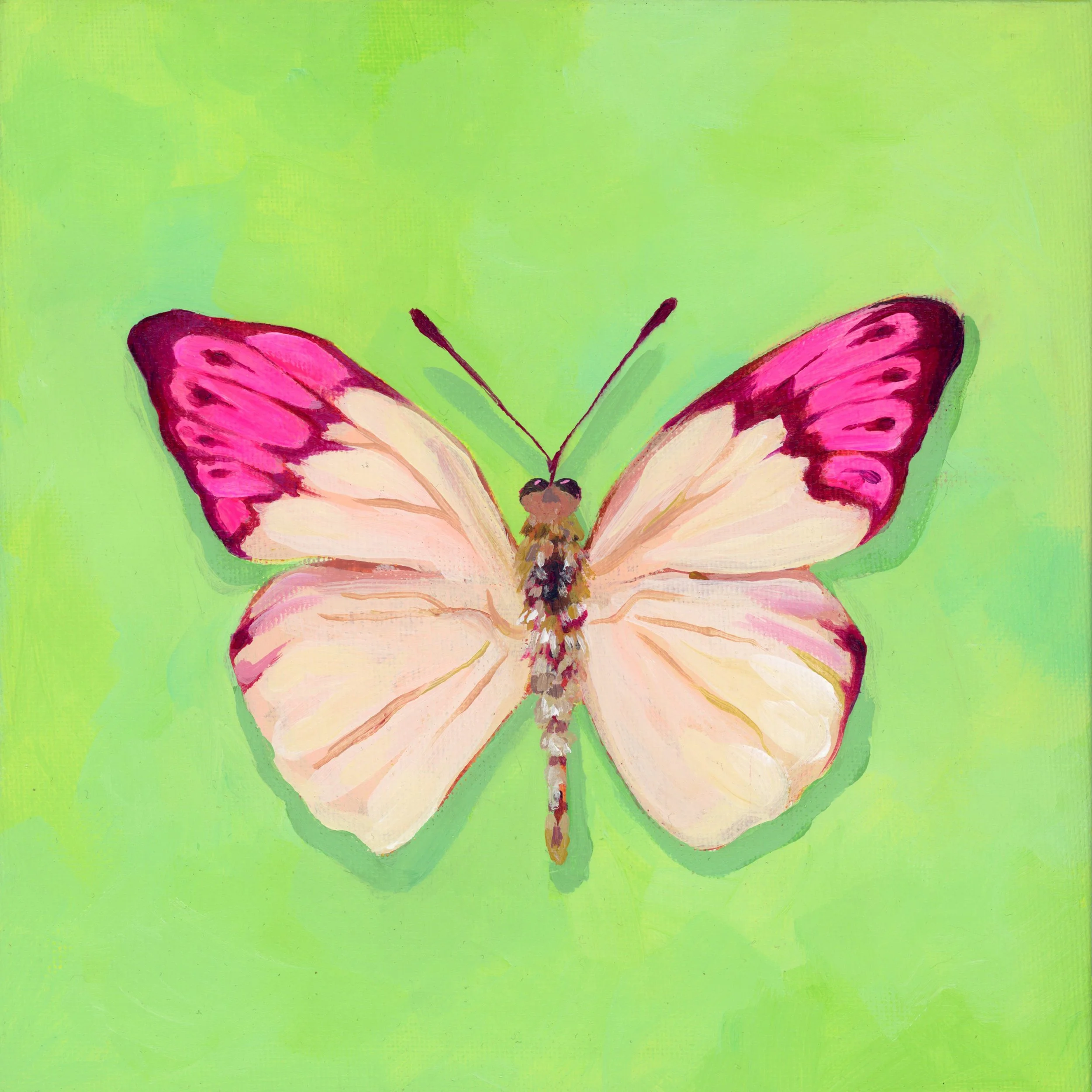 Butterfly_10x10_300DPI_RGB.jpg