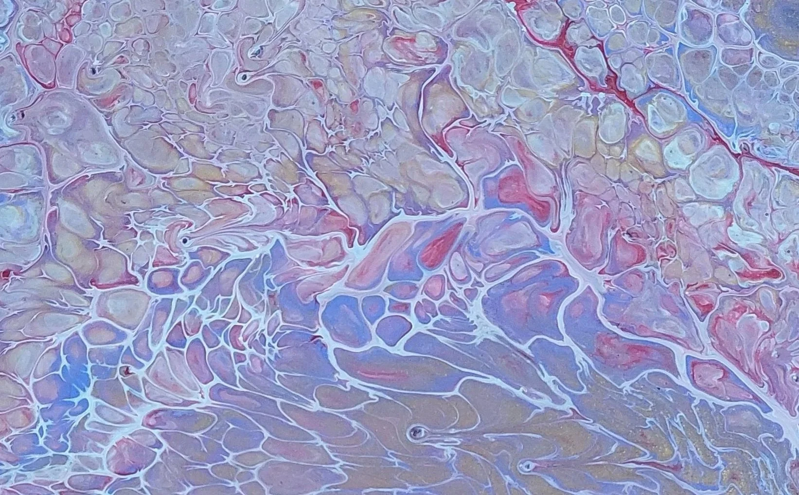Farbe+Lila+-+Acryl.jpg