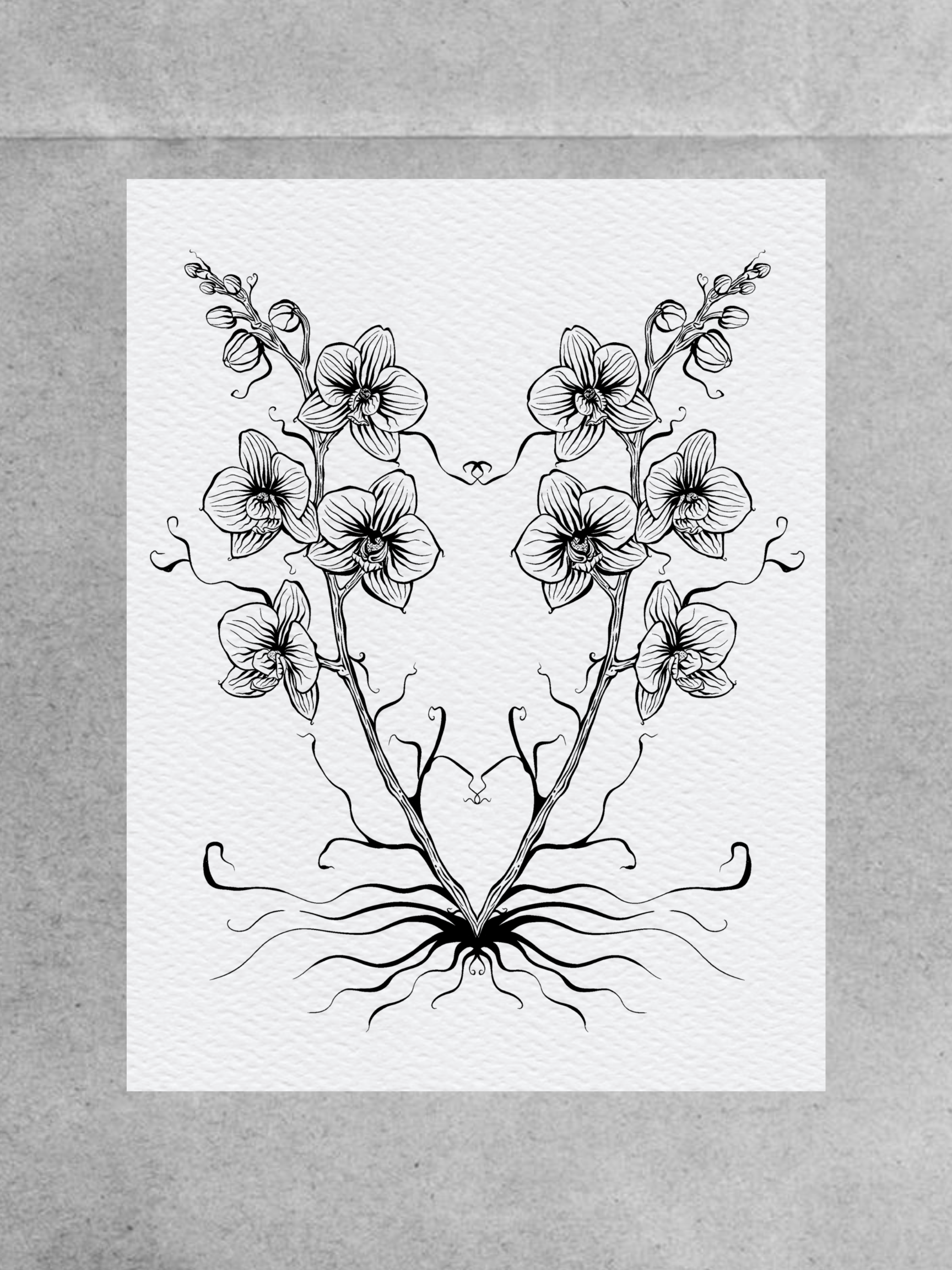 Orchids