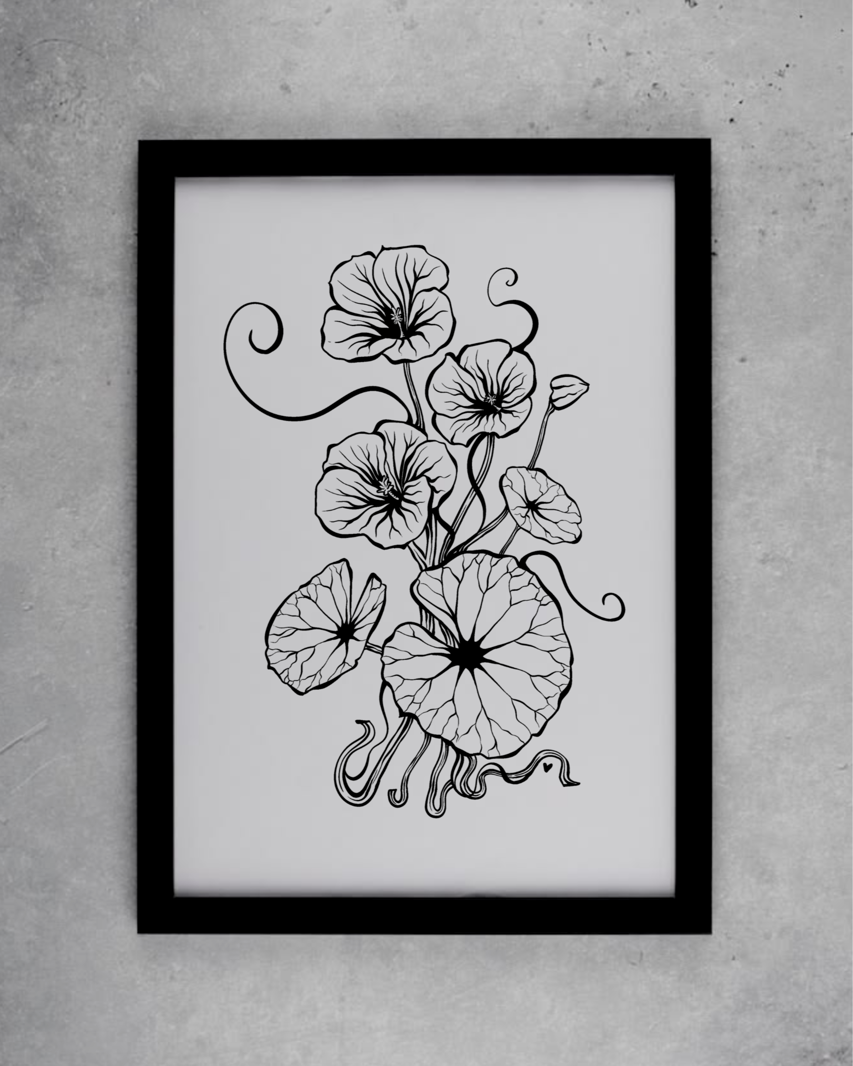 Nasturtium