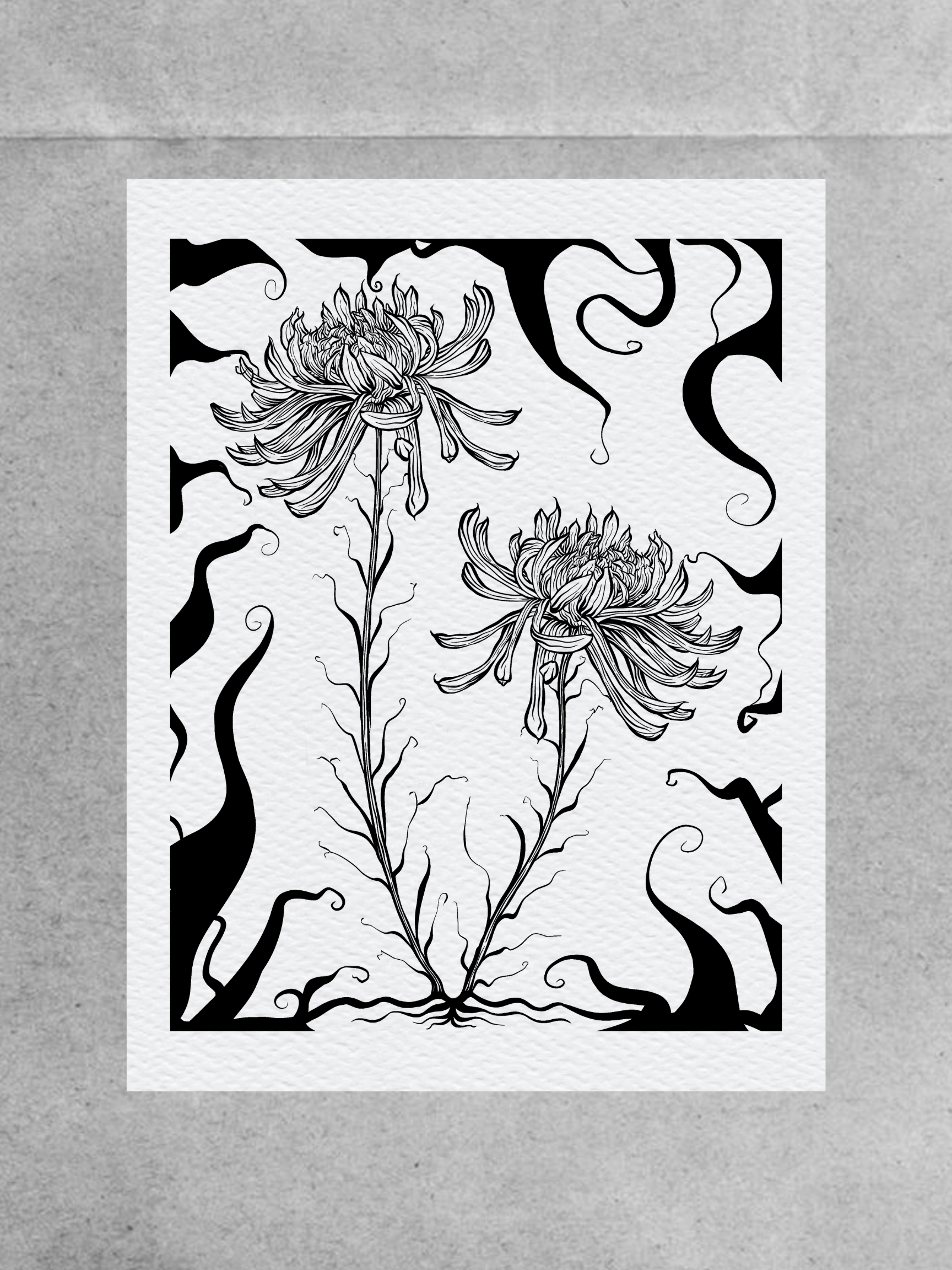 Chrysanthemums