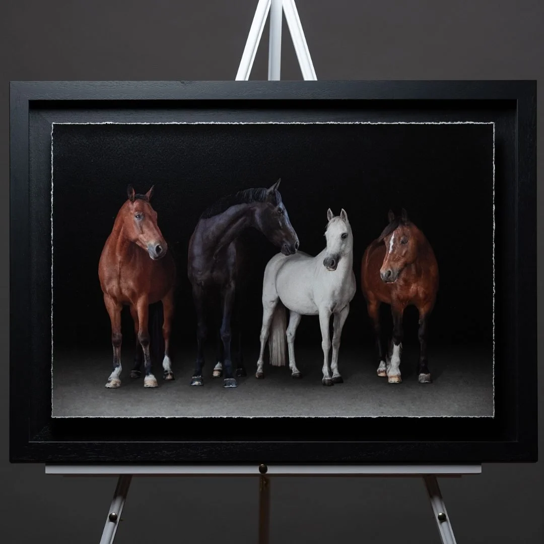 Collection of five horses standing side by side on a dark background, displayed in an art frame on an easel.