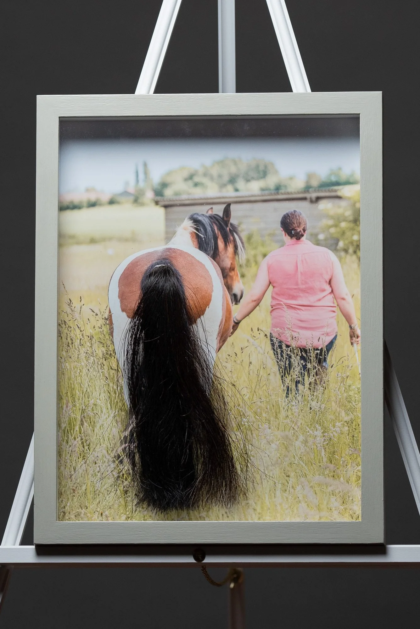 Photograph of a picture frame with a picture of a woman walking a horse in a field, with curly hair, outdoors during daytime.