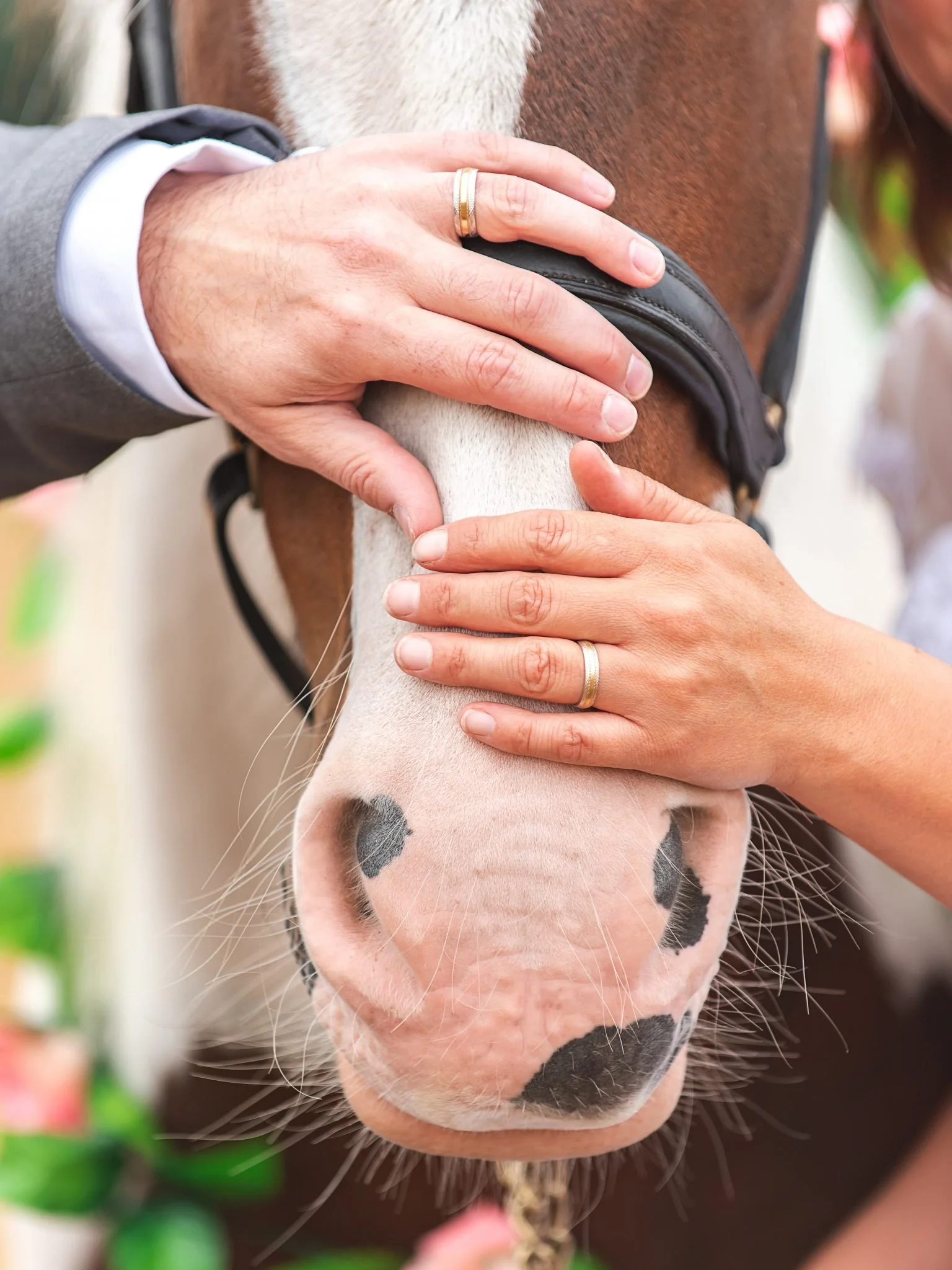 Close-up of a person's hand with a wedding ring, patting a horse's nose, showing the horse's nostrils and muzzle with black spots.