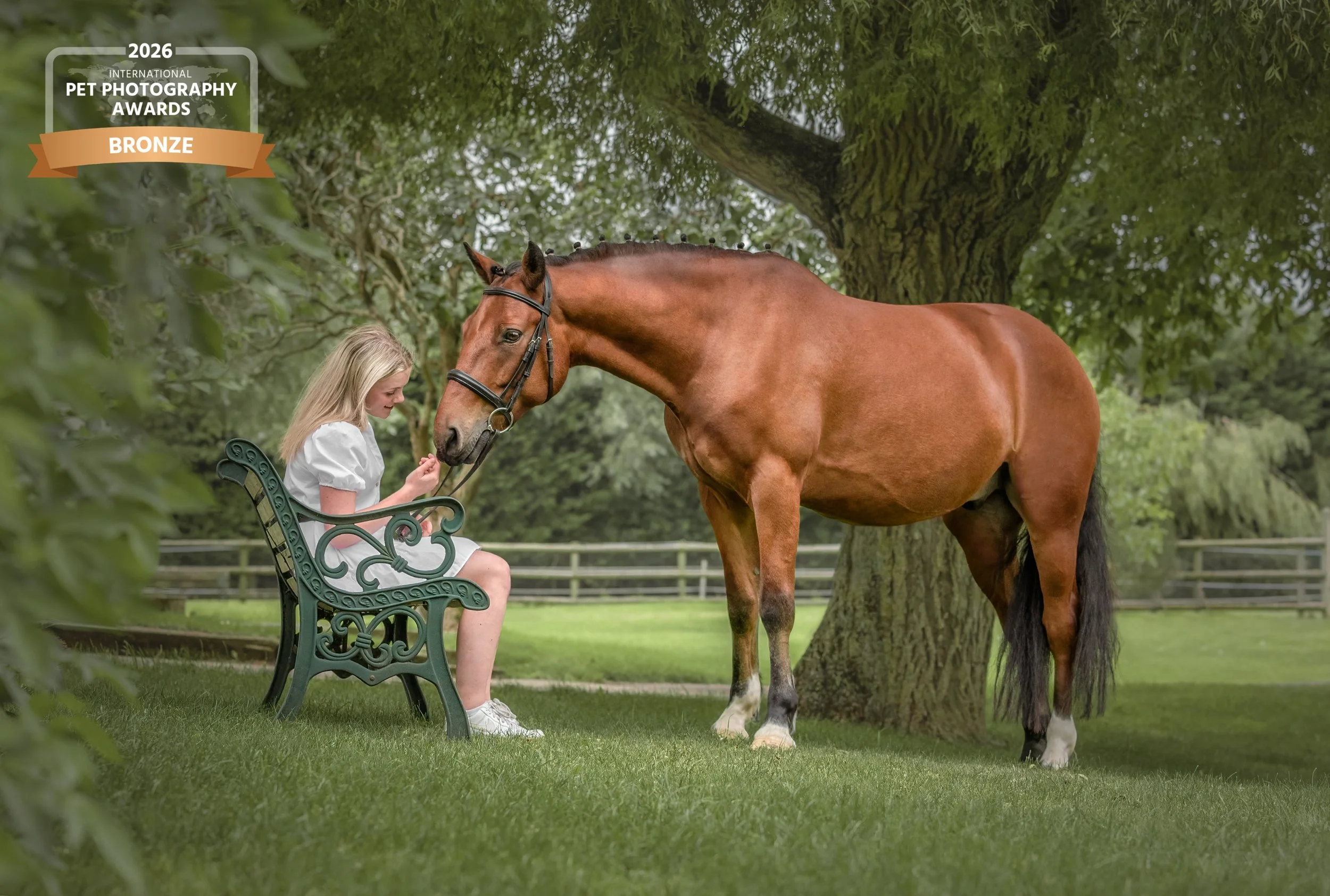 A girl sitting on a green park bench, smiling and holding a carrot, as she interacts with a brown horse that is standing next to her under a large tree.