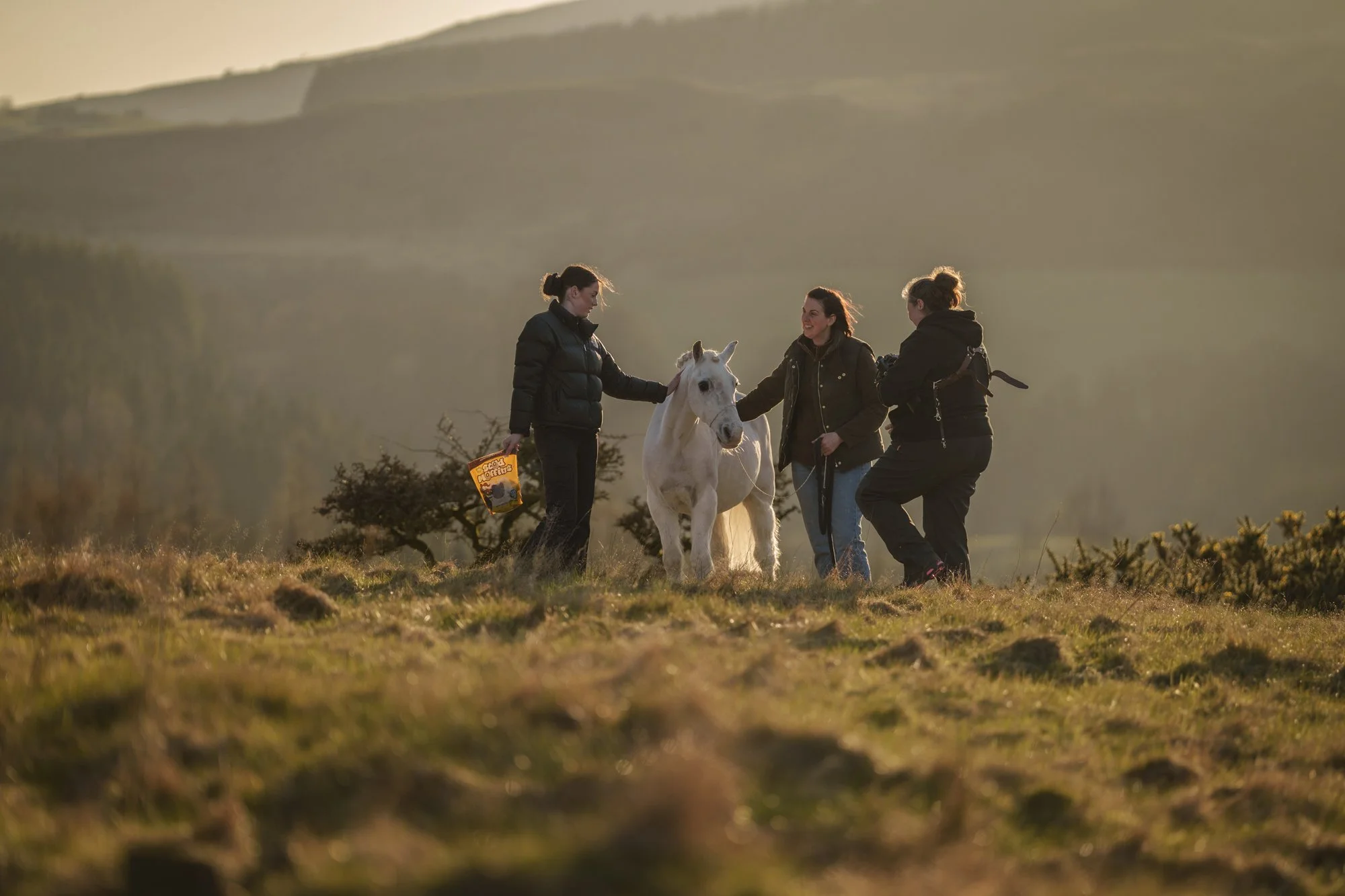 Three women in outdoor jackets with a white horse in a grassy field during sunset or sunrise, with rolling hills in the background.