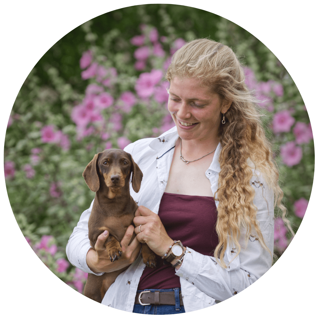 A woman holding a brown dachshund puppy outdoors with pink flowers in the background.