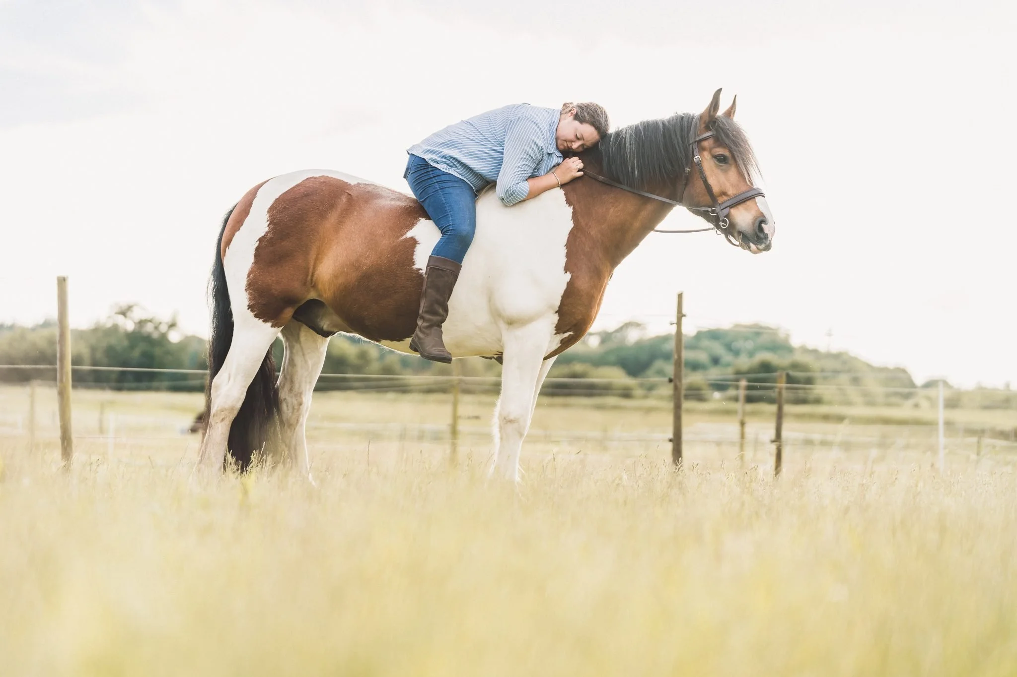 Laura on her heart horse Rio, standing in an open field just before sunset.