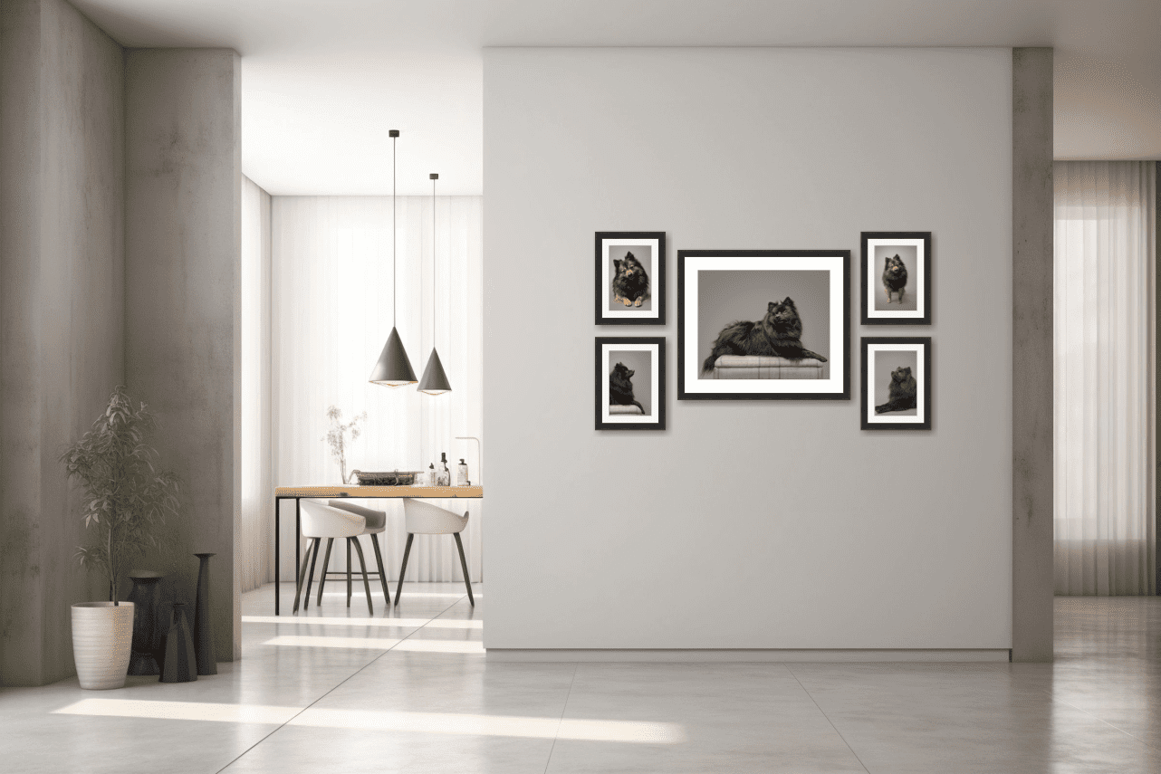 Modern interior of an apartment with a white wall displaying five framed black-and-white photos of a black dog, with a living room visible in the background.