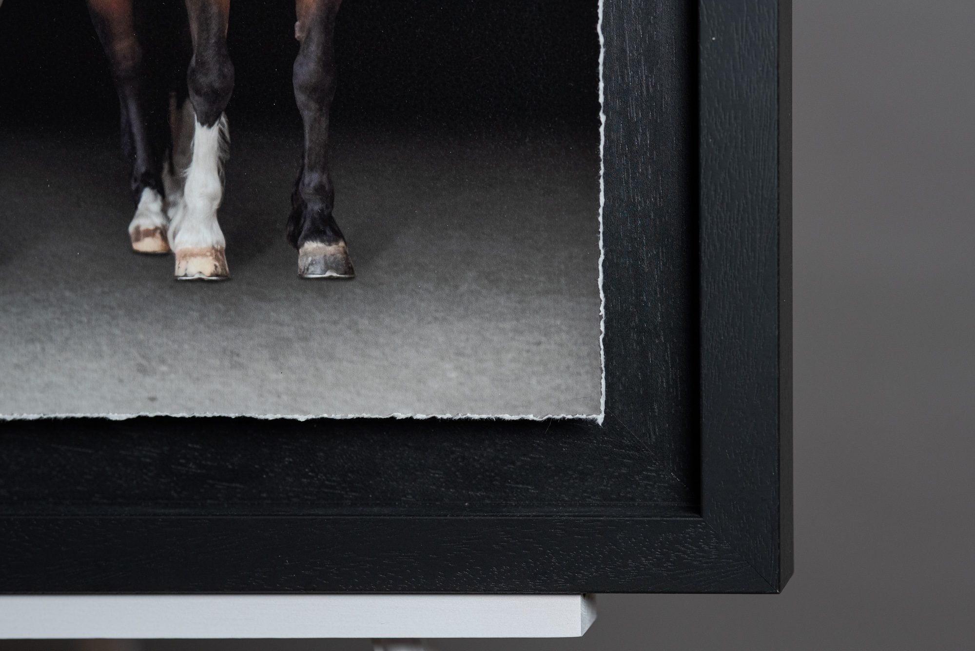 Close-up view of a horse's front legs and hooves walking on a dark floor, with part of a black wall or enclosure visible on the right side of the image.