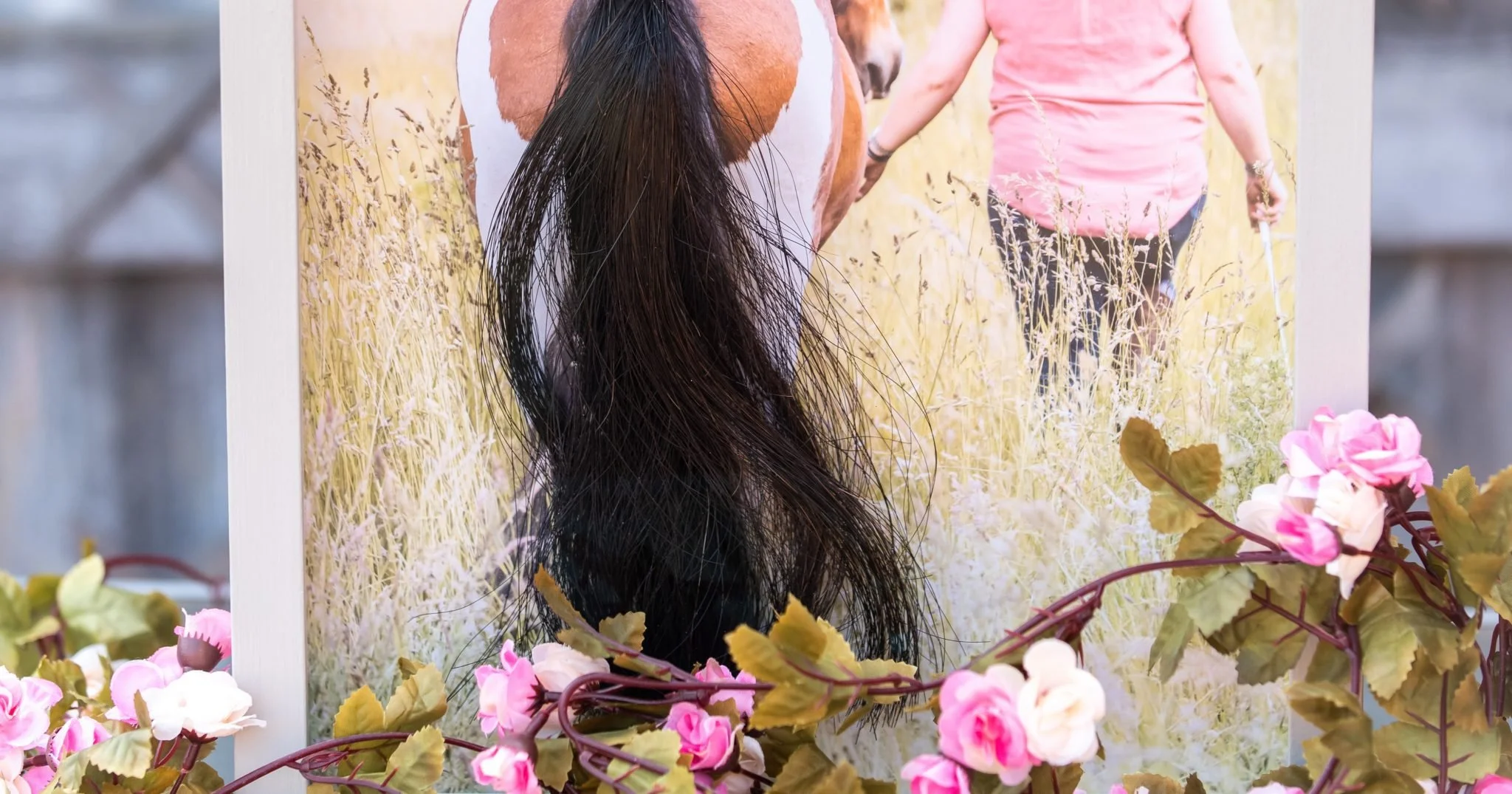 A framed photograph with the horse's tail hair inlaid, of a woman walking a brown and white horse through a field of tall grass, with pink and green flowers in the foreground in a display case.