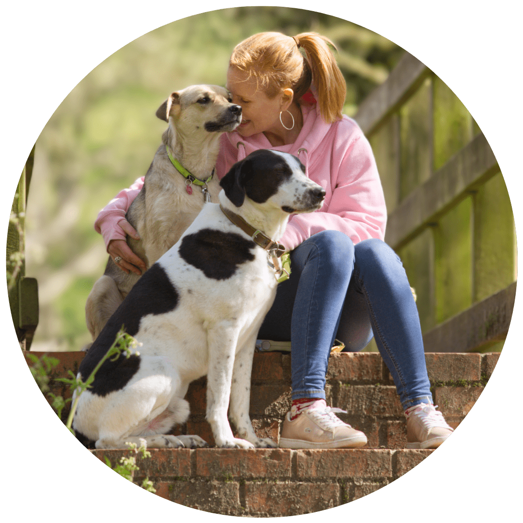 A woman with red hair in a ponytail, wearing a pink hoodie and blue jeans, sitting on brick steps outdoors, kissing two dogs, one with tan fur and a green collar, the other with black and white fur and a brown collar.