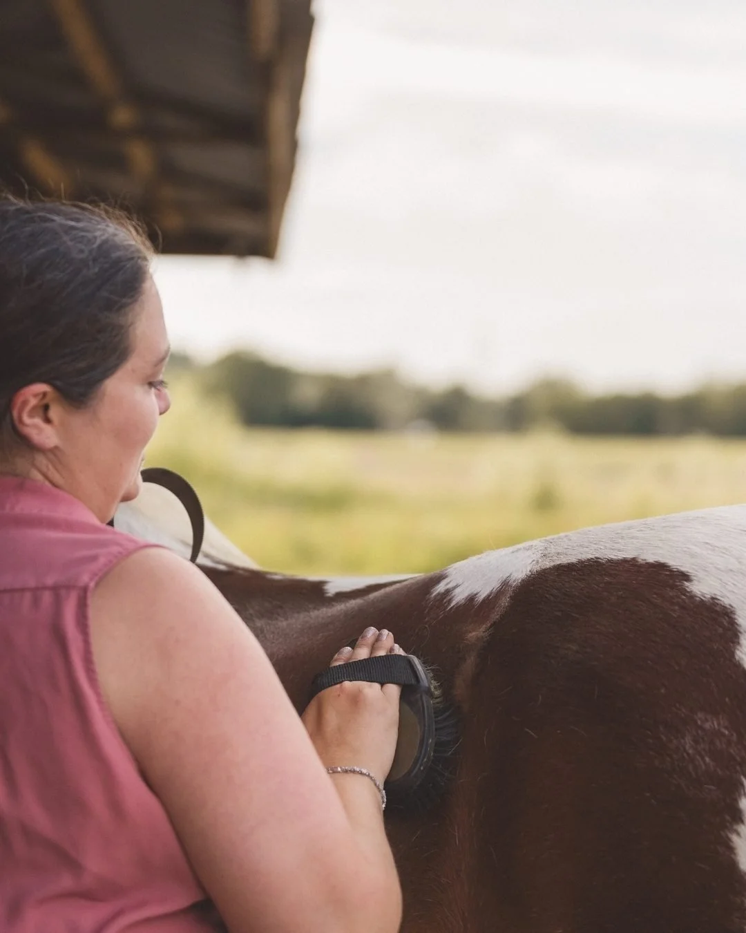 Laura grooming Rio, her tricolour Welsh cross horse outdoors under a shelter with a rural landscape in the background.