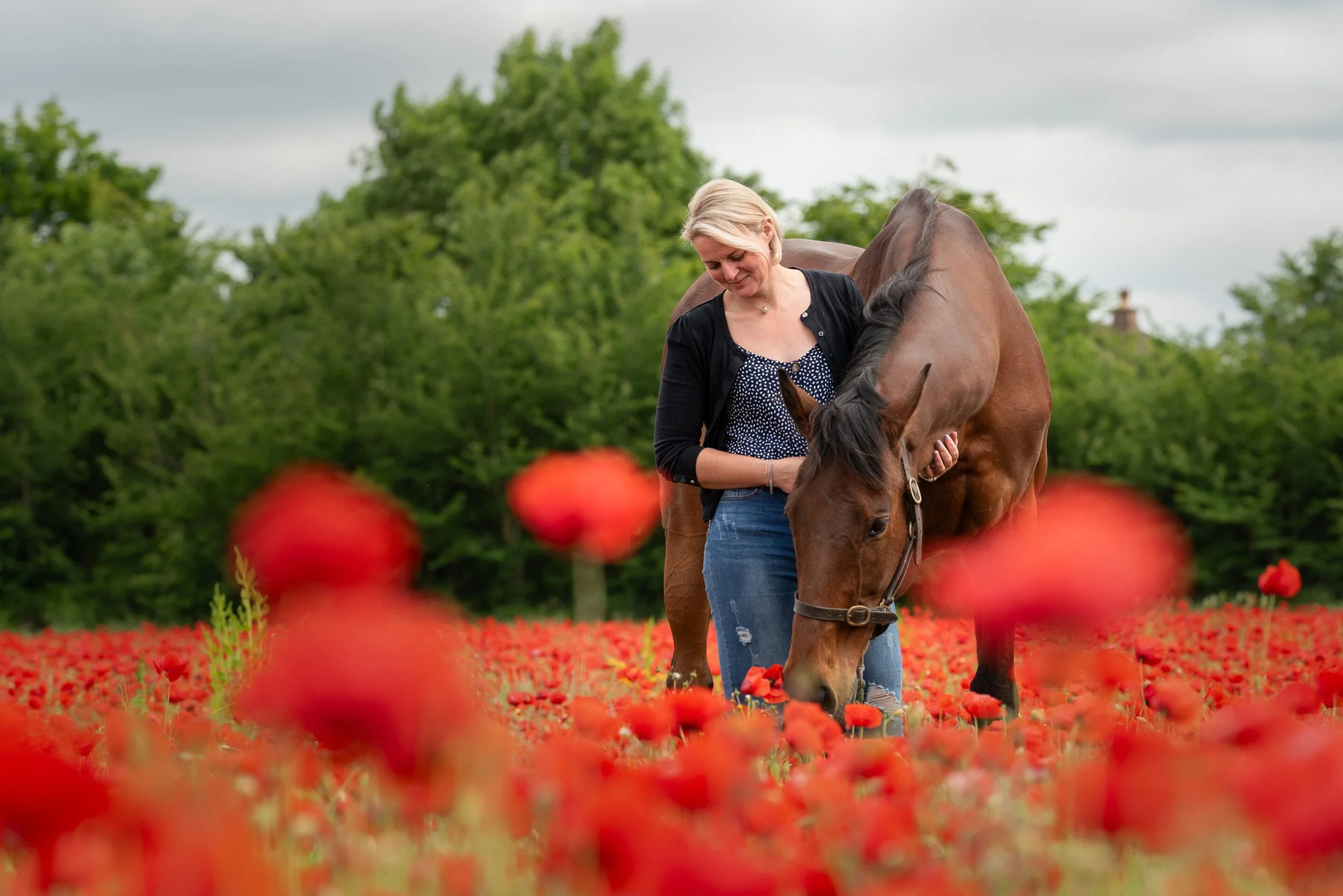 A woman with blonde hair wearing a black cardigan and blue jeans pets a brown horse in a field of red poppies, with green trees and cloudy sky in the background.