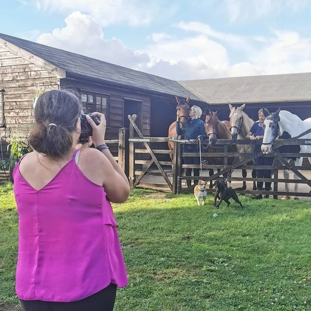 Laura Fiddaman takes a photo of three horses and two dogs on a farm, with a wooden barn in the background and a green grassy area in the foreground.