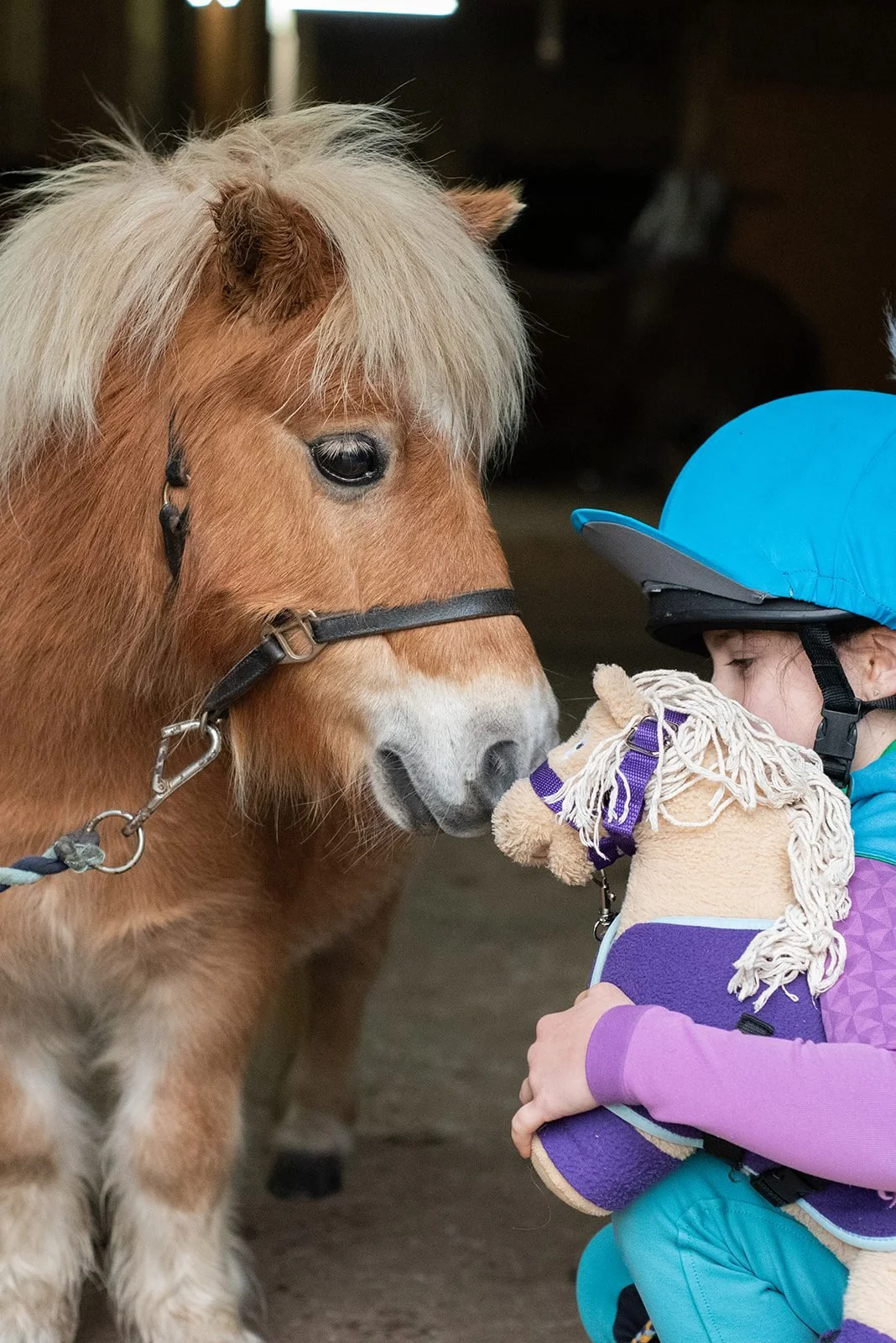 A young girl wearing a blue helmet and purple jacket holds a plush horse toy close to her face, facing a real brown pony with a cream mane, as they touch noses in a barn or stable.