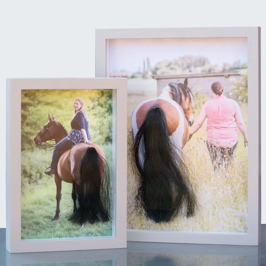 Two framed photographs of people on horses with real hair attached to the horse's tails that match the hair of the people in the photos.