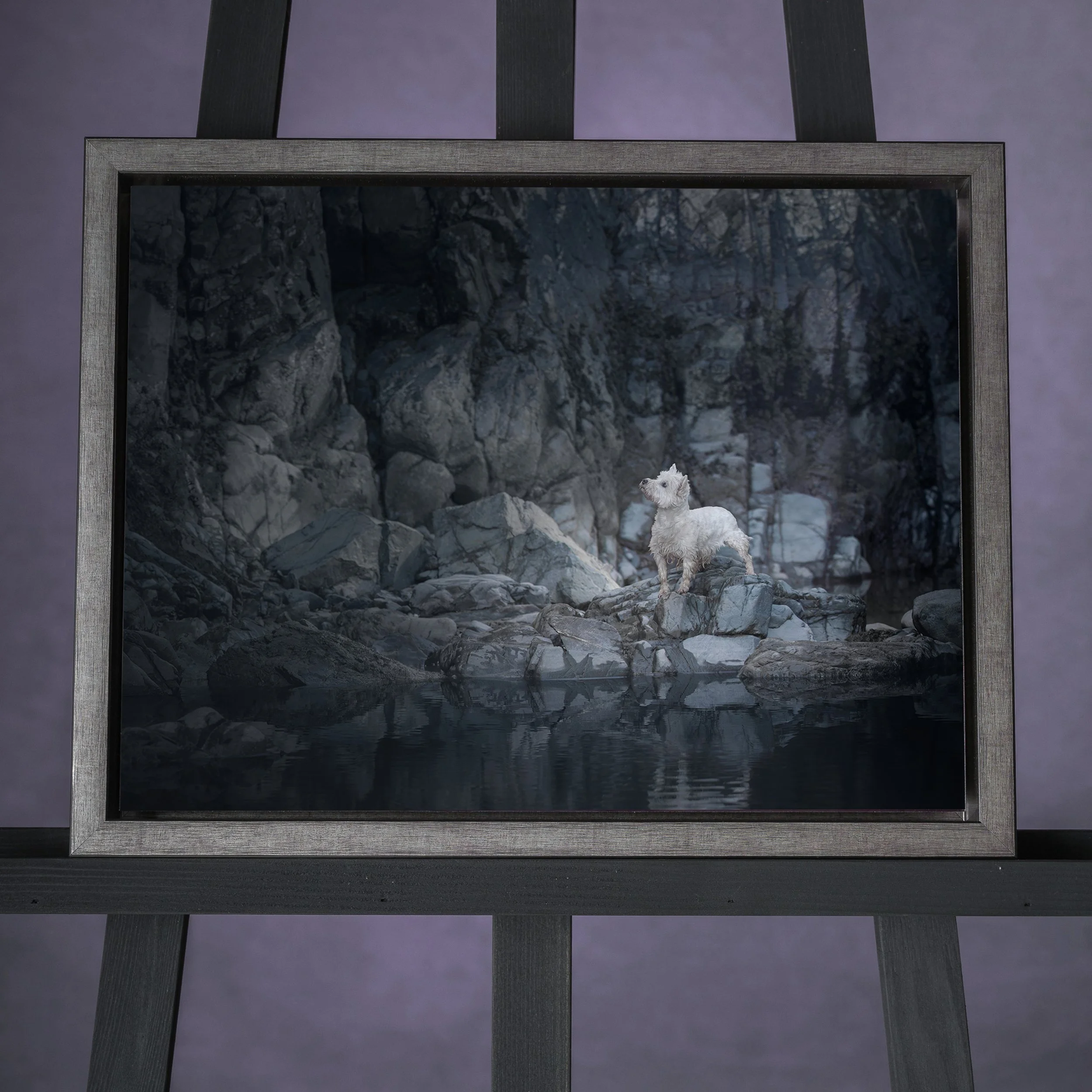 A framed photo of a white dog, possibly a West Highland White Terrier, standing on rocks in a wintery landscape with snow and leafless trees in the background.