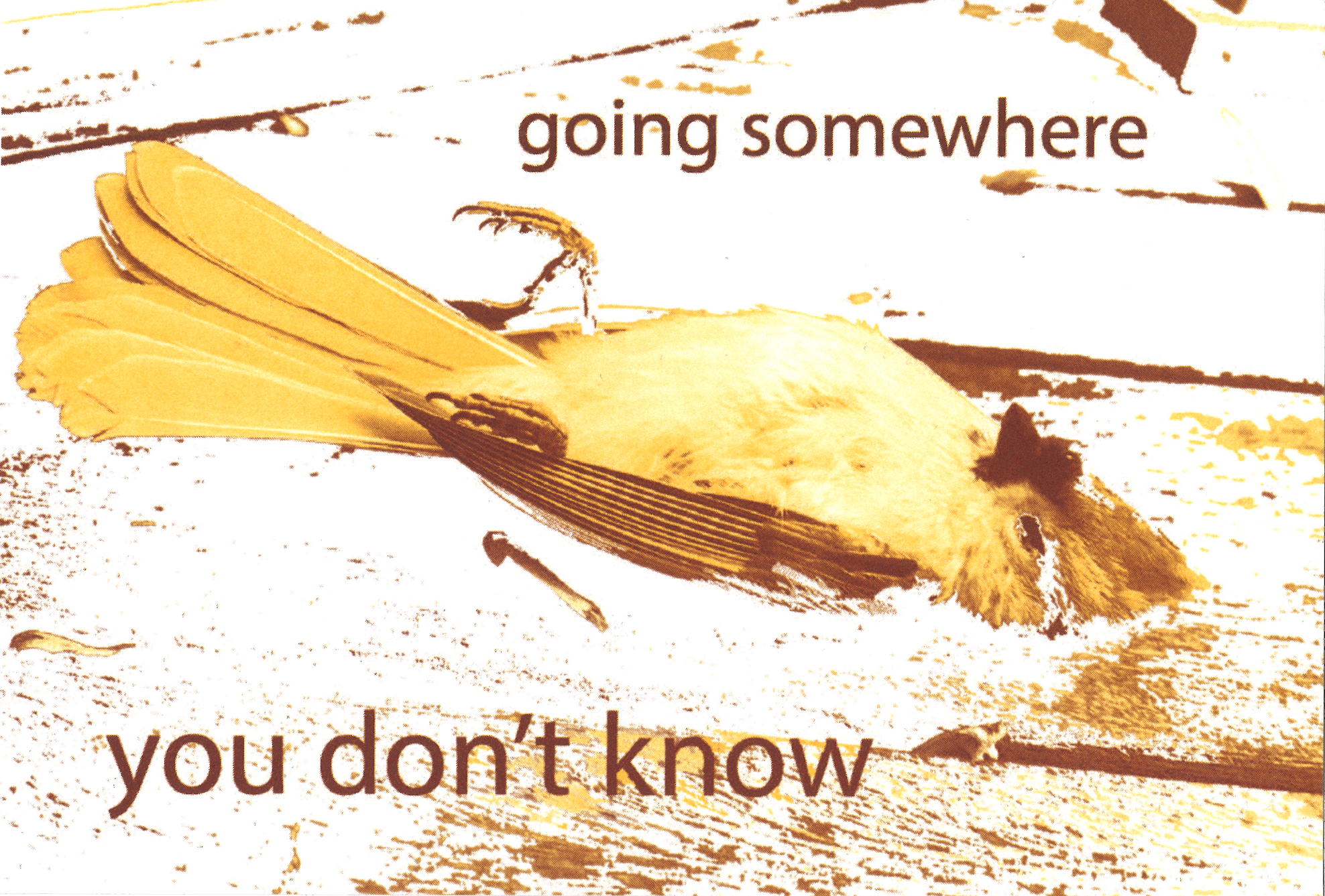 Somewhere You Don't Know 6in x 6in, Offset Print, 2026
