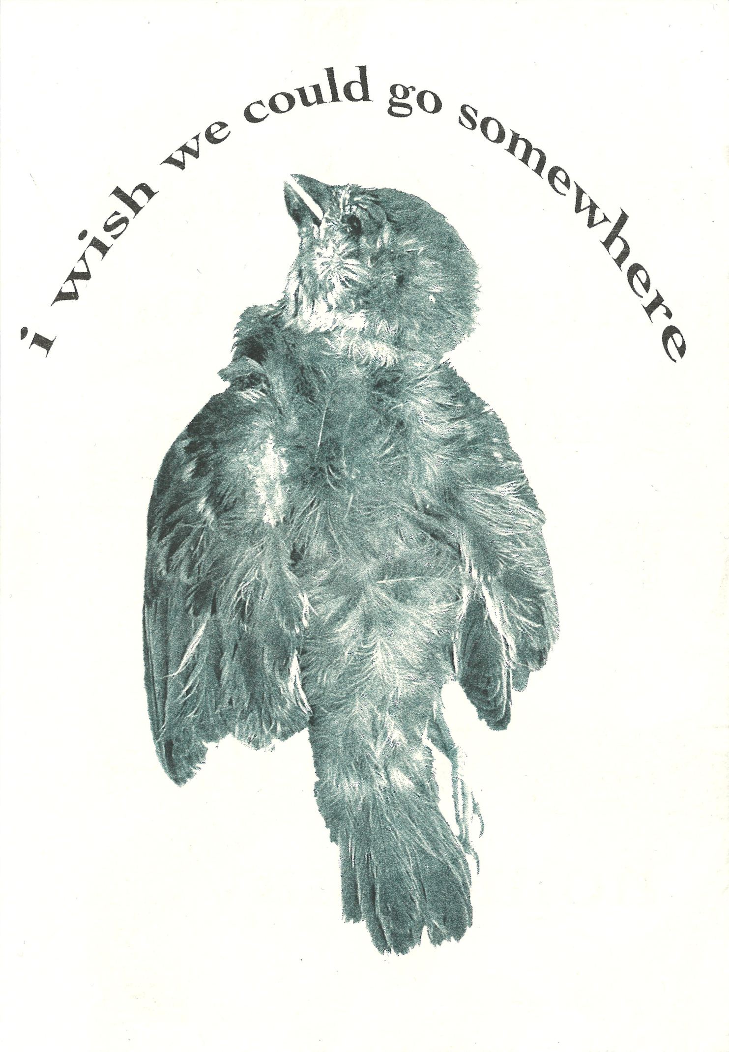 I Miss Dead Birds Series 4in x 6in, Risograph Print, 2026