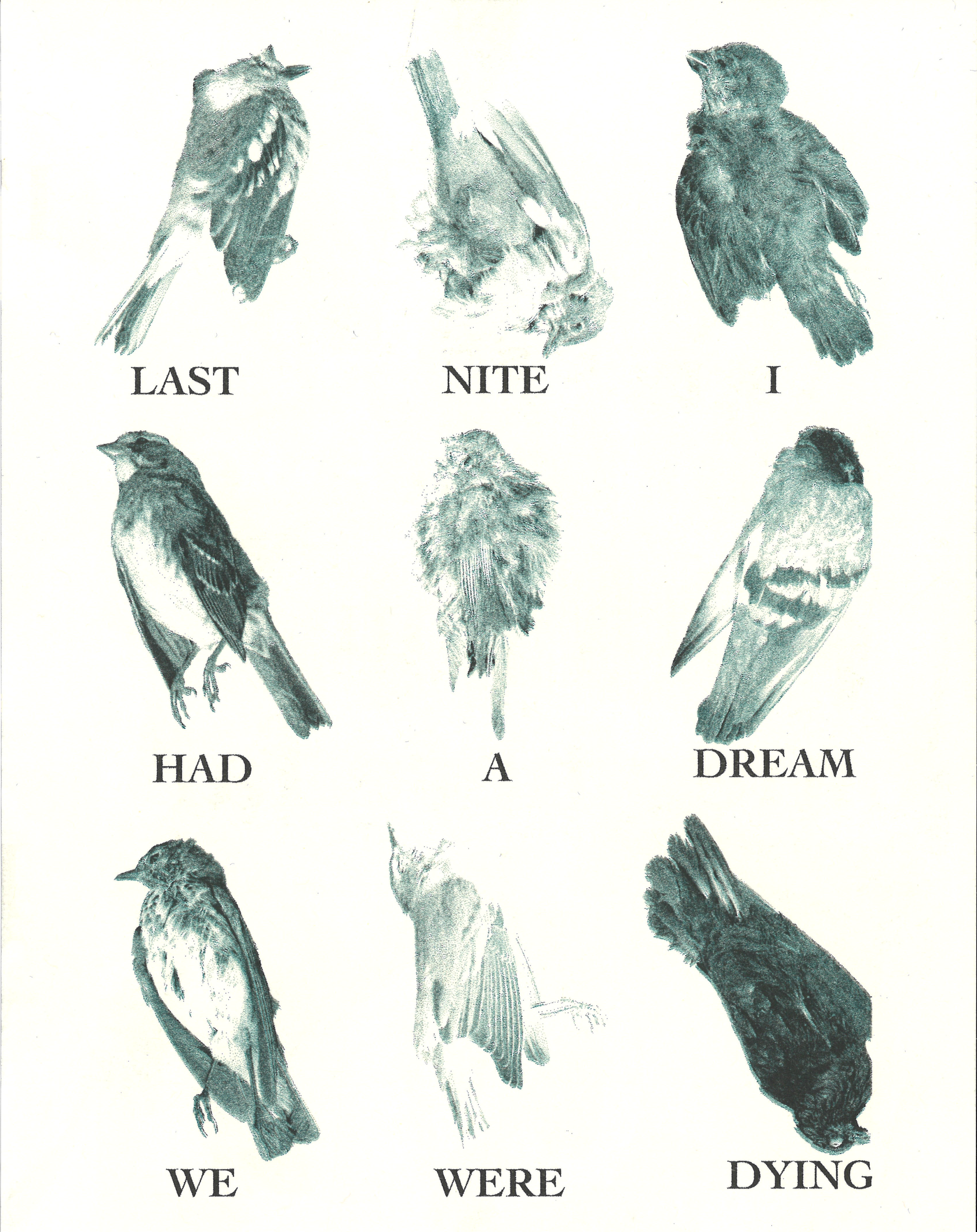 I Miss Dead Birds 4in x 6in, Risograph Print, 2026
