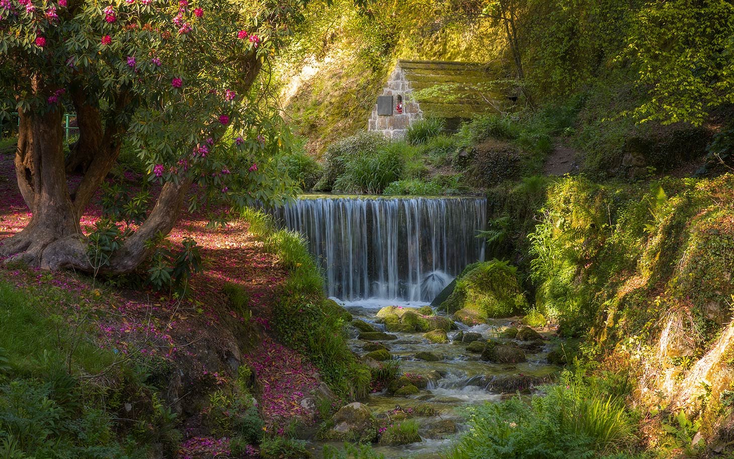 Menacuddle-well,-St-Austell.jpg