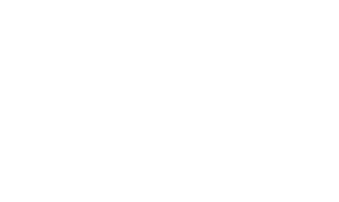 Behind the Neon Media