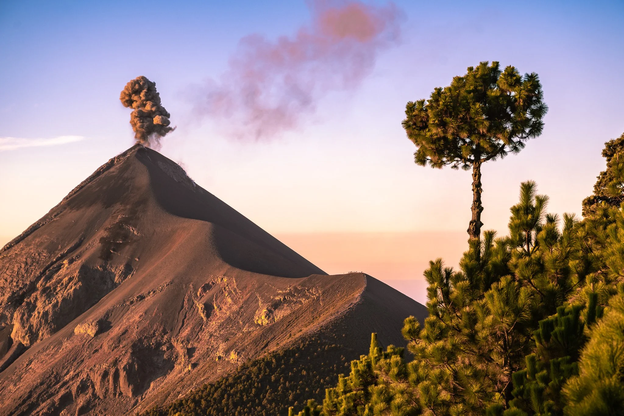 NZ7_9224-3.jpg
