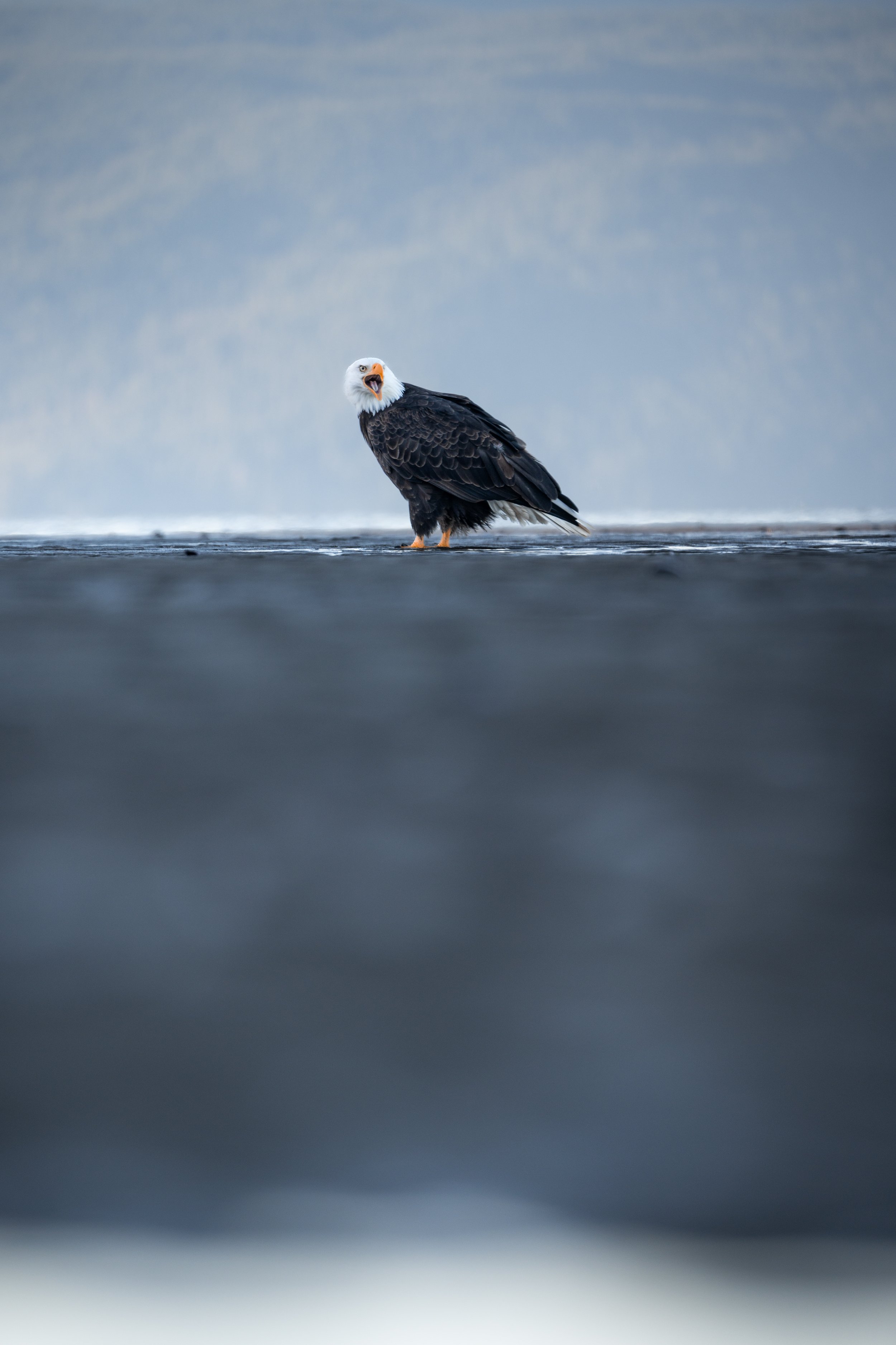NZ7_3752-3.jpg