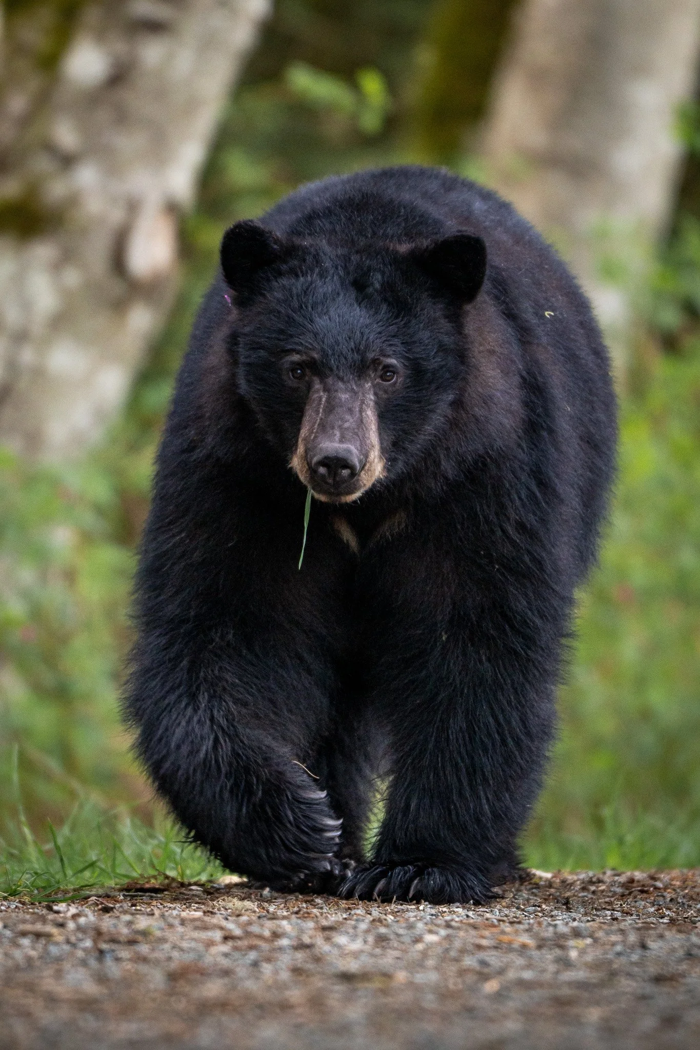 DSC_2644-4.jpg