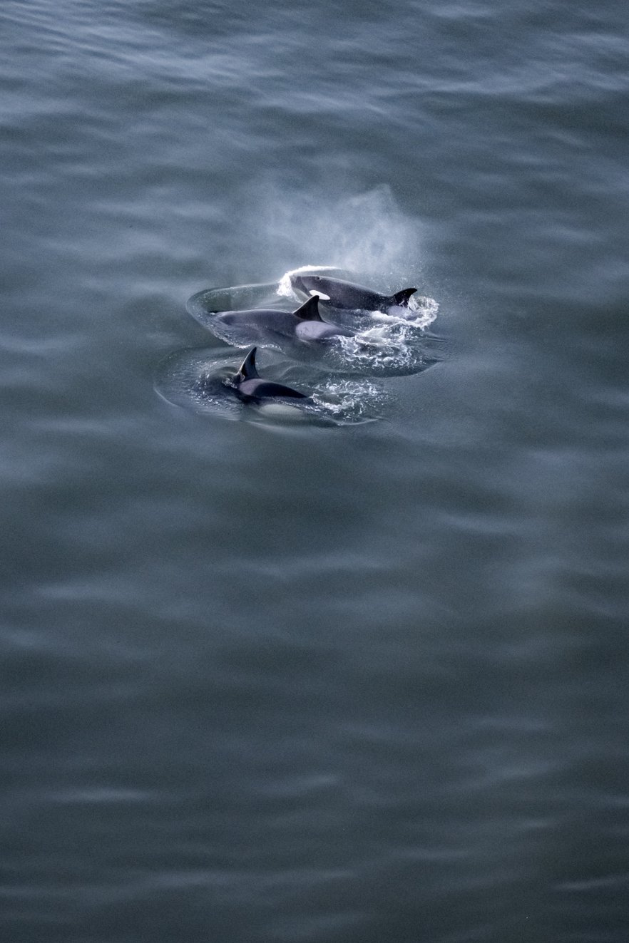 NZ7_2030-5.jpg
